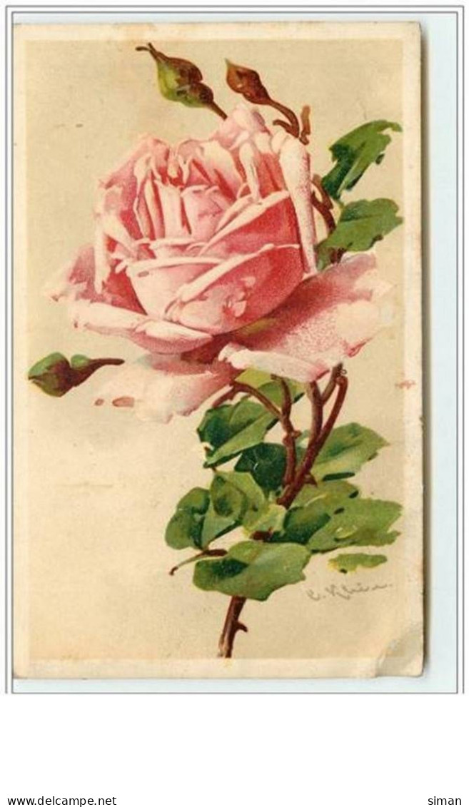 N°3066 - Catharina Klein - Rose - Klein, Catharina