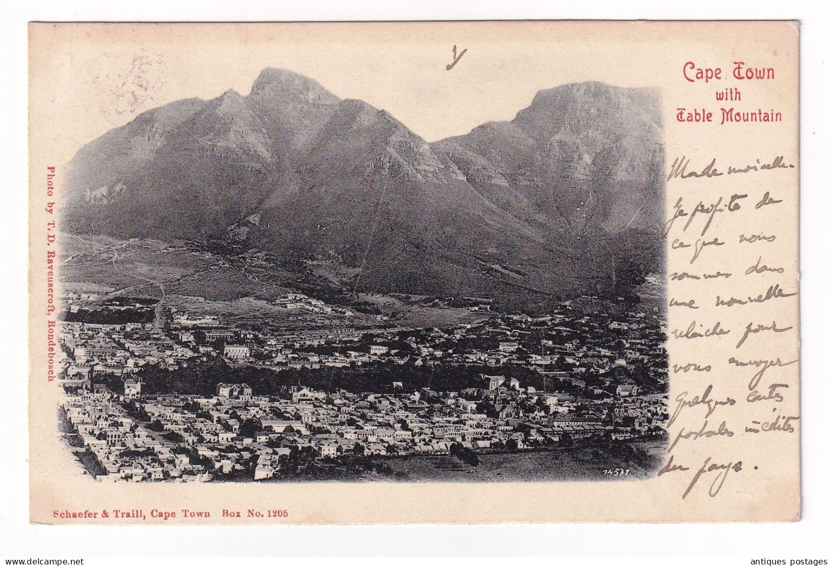 Post Card 1904 Afrique Du Sud Le Cap South Africa Edouard VII Cape Town Brest Finistère - Cape Of Good Hope (1853-1904)