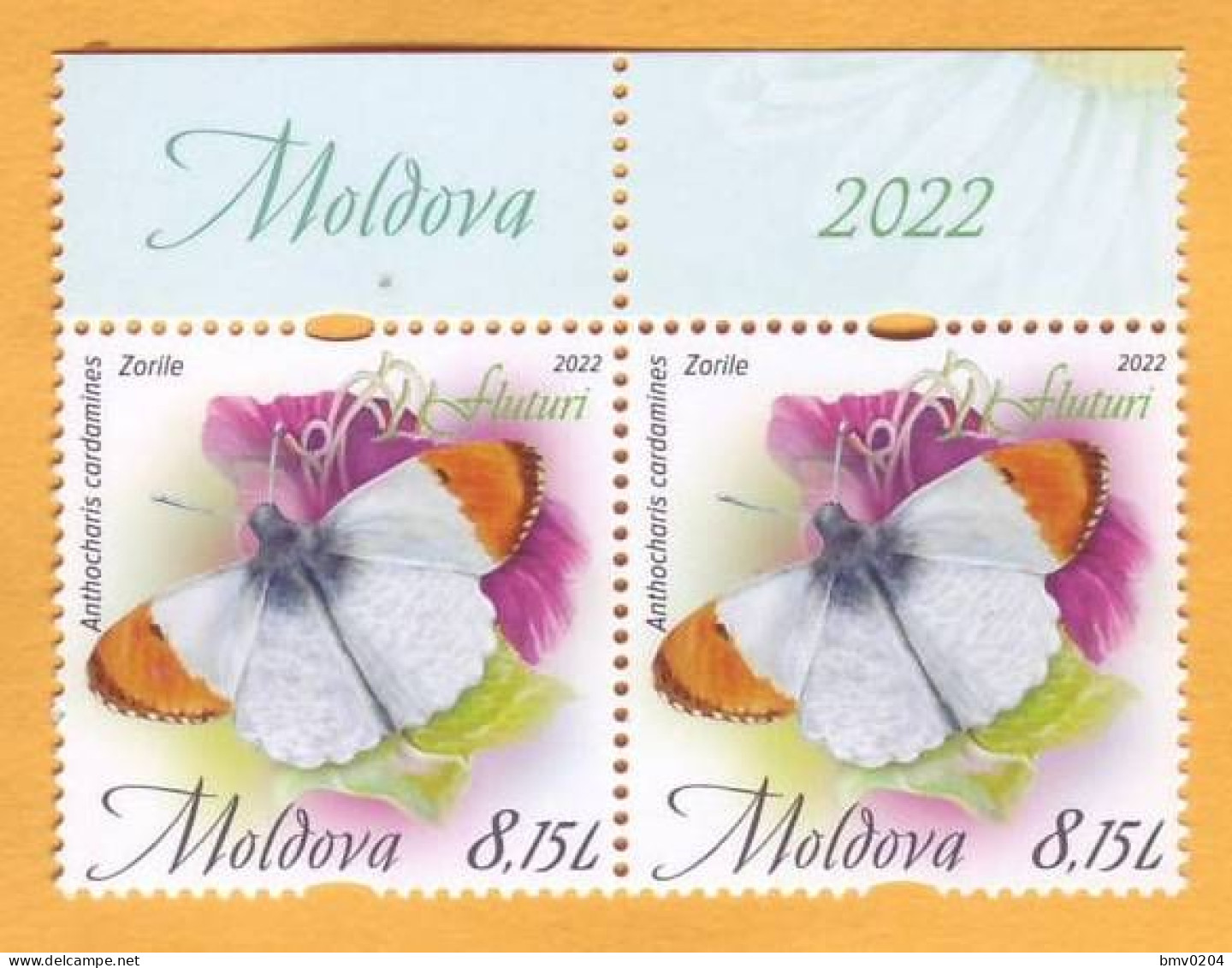 2022  Moldova Moldavie  „Butterflies”  Anthocharis Cardamines. Nominal Value Of Stamp: 8,15 L 2v Mint - Butterflies