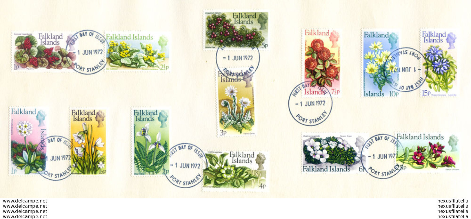 Definitiva. Flora. Fiori 1972. FDC. - Falkland