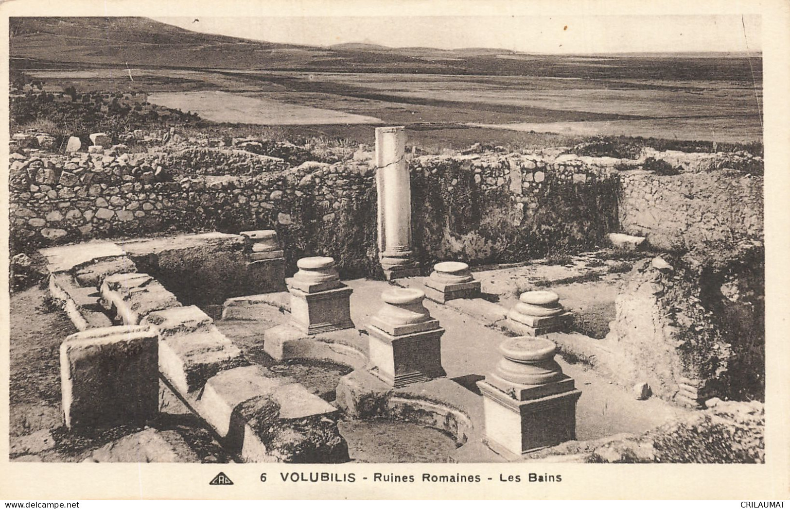 ET-MAROC VOLUBILIS-N°T5317-B/0141 - Autres & Non Classés