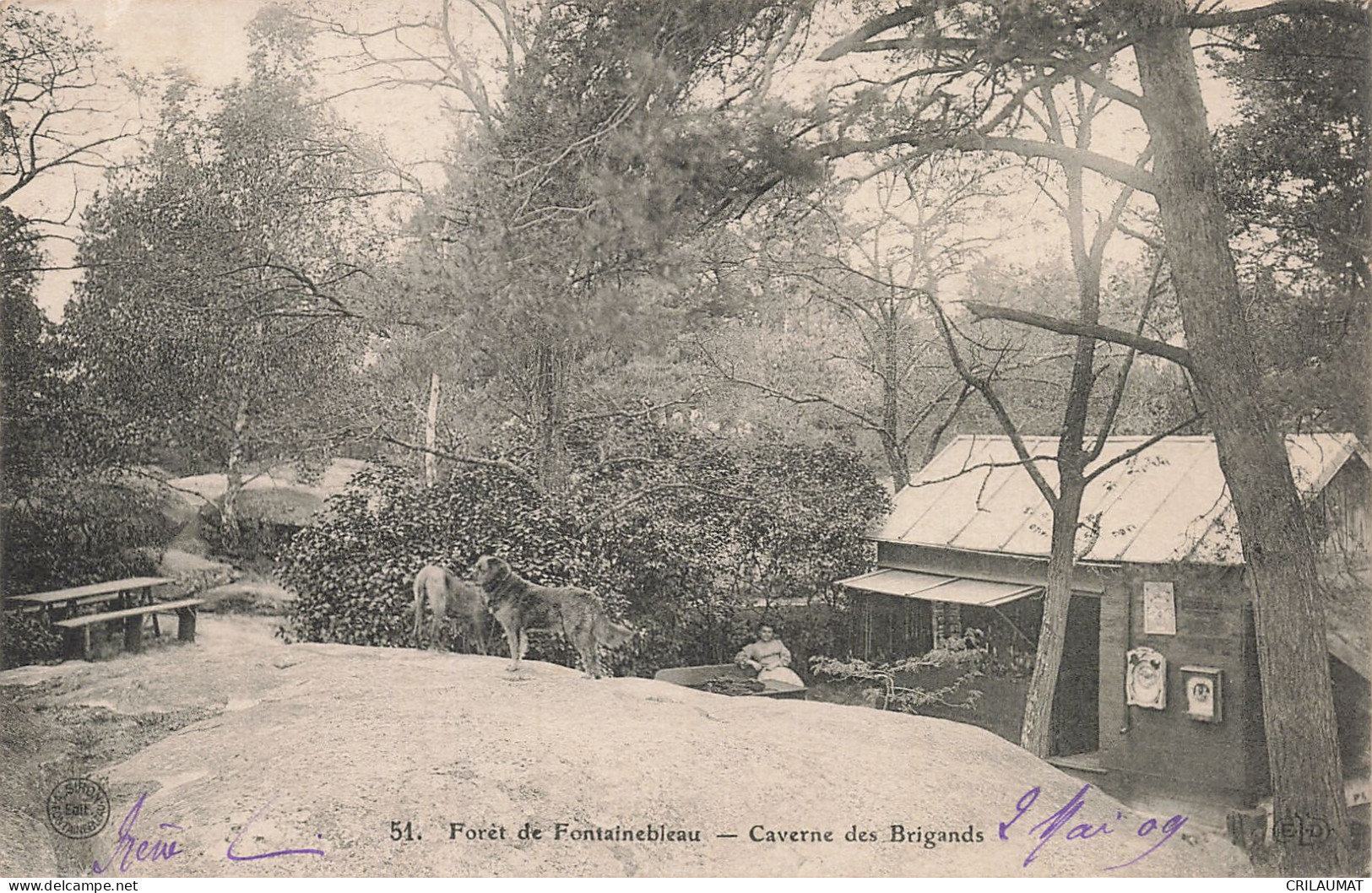 77-FONTAINEBLEAU LA FORET-N°T5317-C/0019 - Fontainebleau