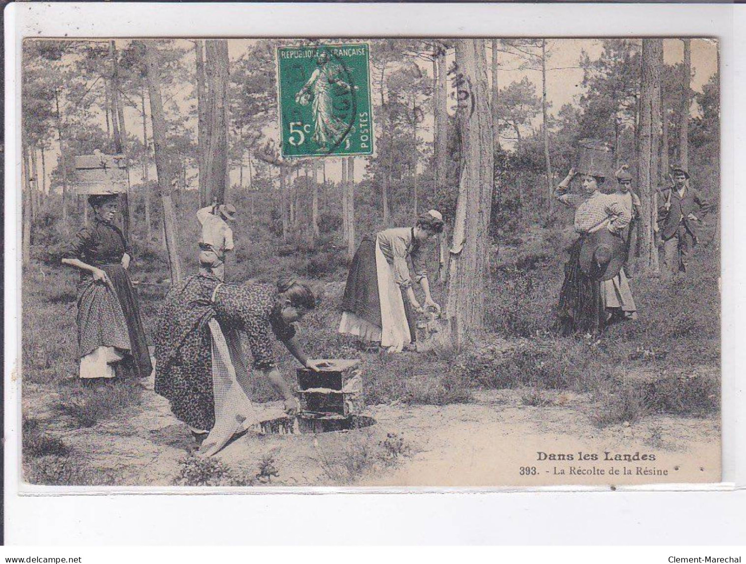 LANDES: Dans Les Landes, La Récolte De La Résine - Très Bon état - Altri & Non Classificati