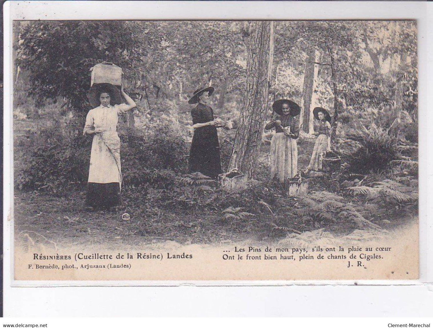 LANDES: Résinières, Cueillette De La Résine - Très Bon état - Altri & Non Classificati