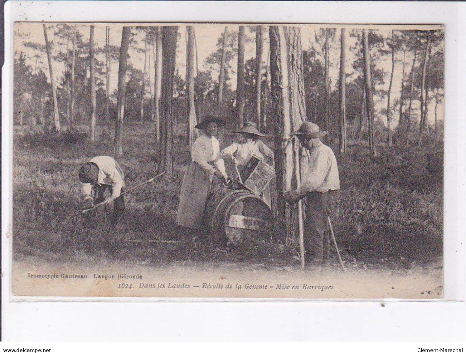 LANDES: Récolte De La Gemme, Mise En Barriques - Très Bon état - Altri & Non Classificati