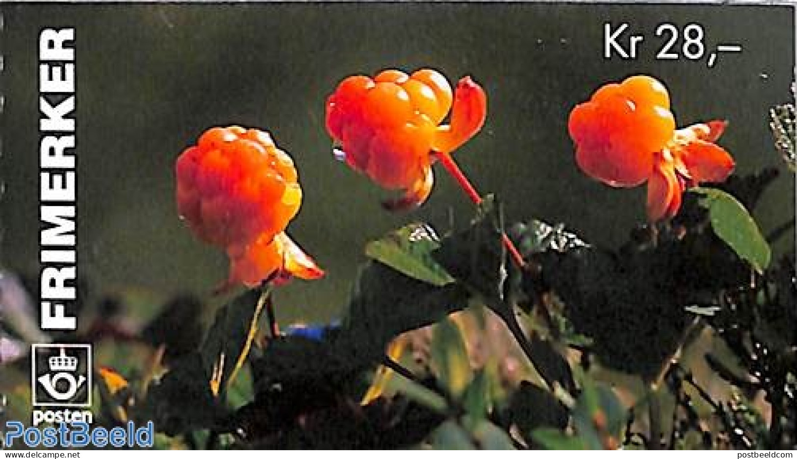 Norway 1996 Fruits Booklet, Mint NH, Nature - Fruit - Stamp Booklets - Ongebruikt