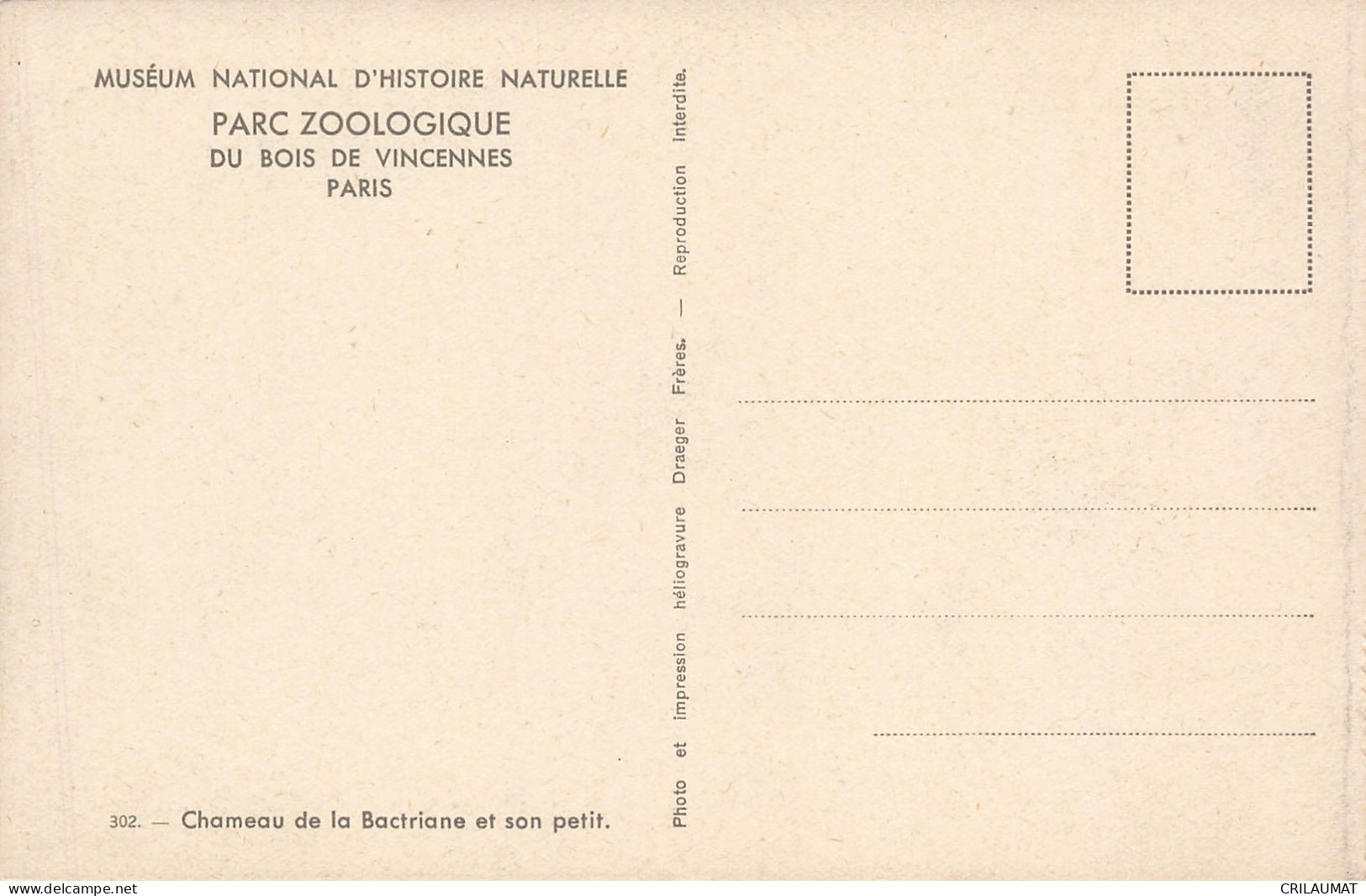 75-PARIS MUSEUM NATIONAL D HISTOIRE NATURELLE-N°T5317-G/0365 - Museums