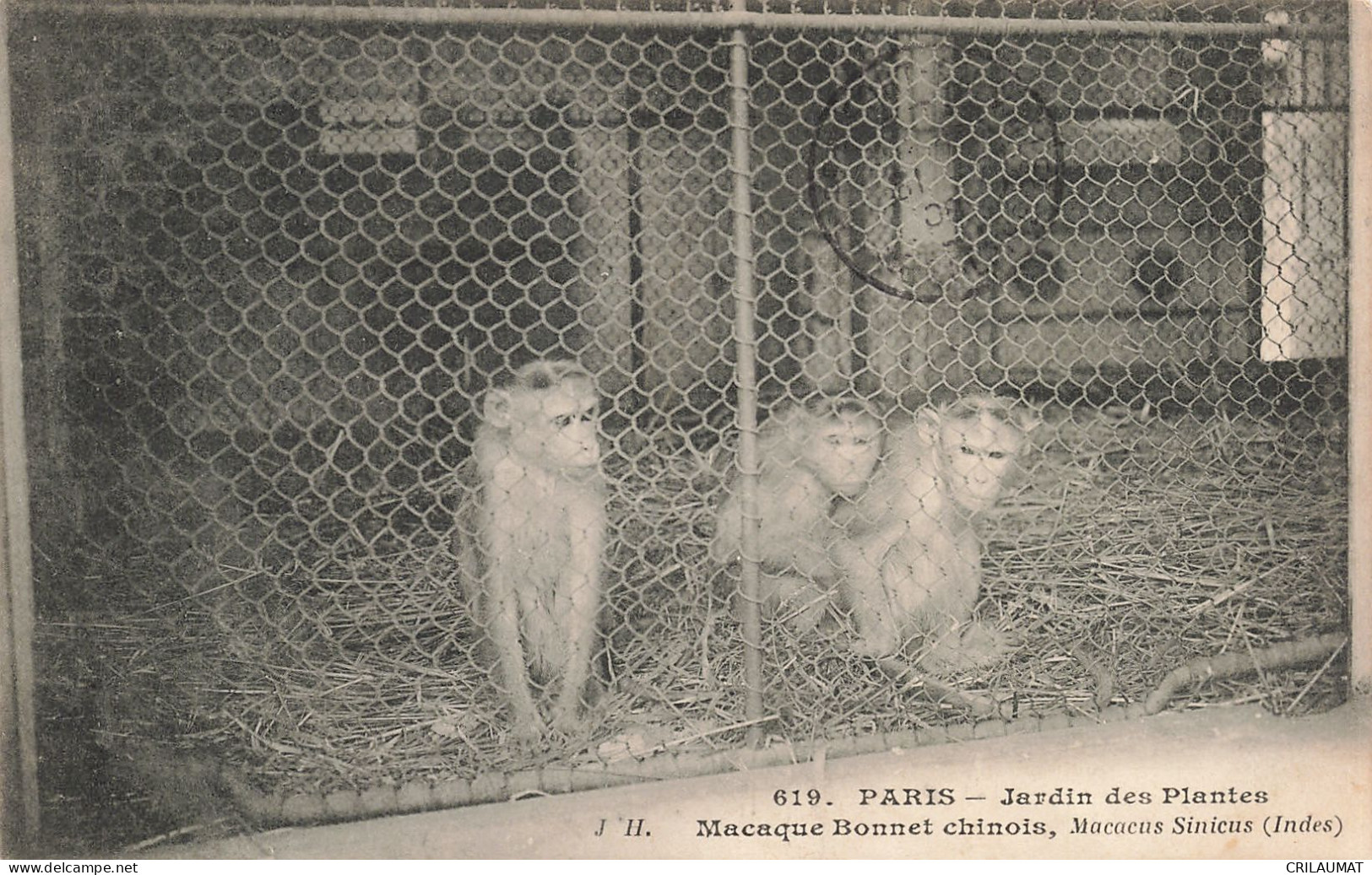 75-PARIS JARDIN DES PLANTES-N°T5317-G/0357 - Parks, Gardens