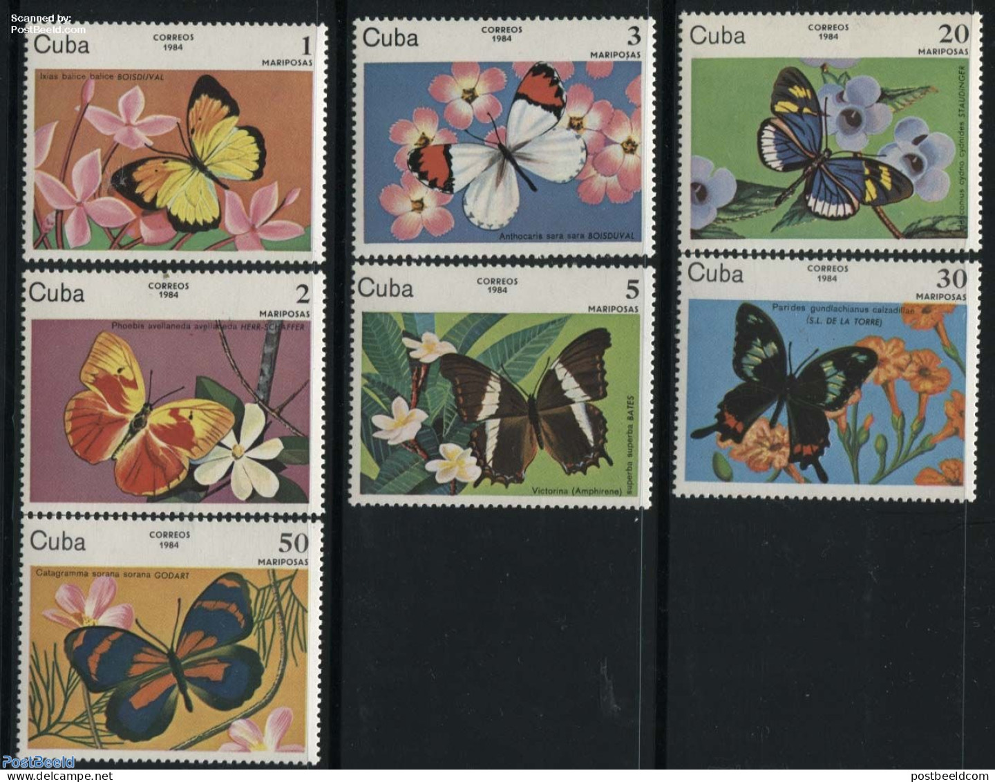 Cuba 1984 Butterflies 7v, Mint NH, Nature - Butterflies - Neufs