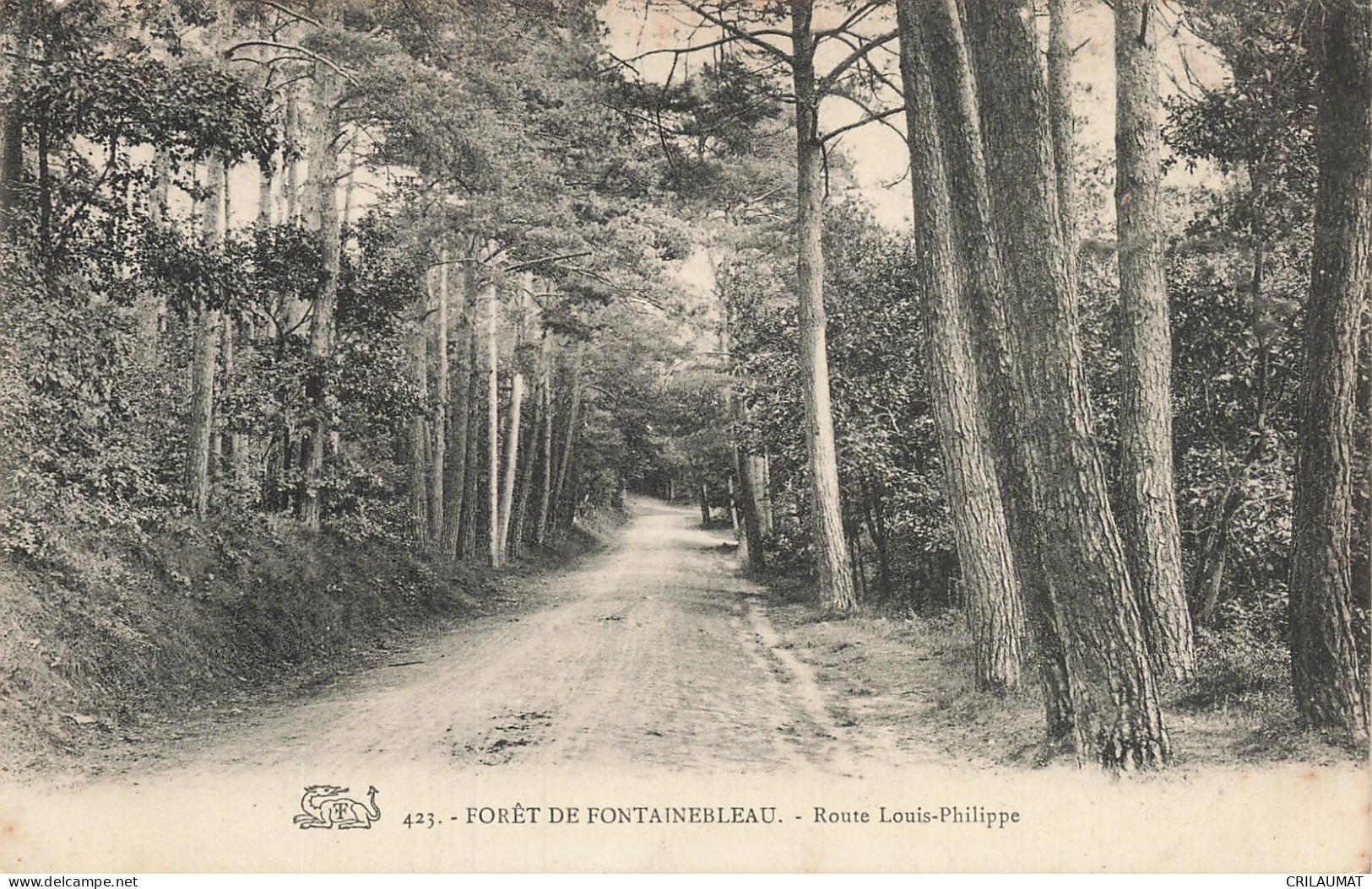 77-FONTAINEBLEAU LA FORET-N°T5317-E/0357 - Fontainebleau