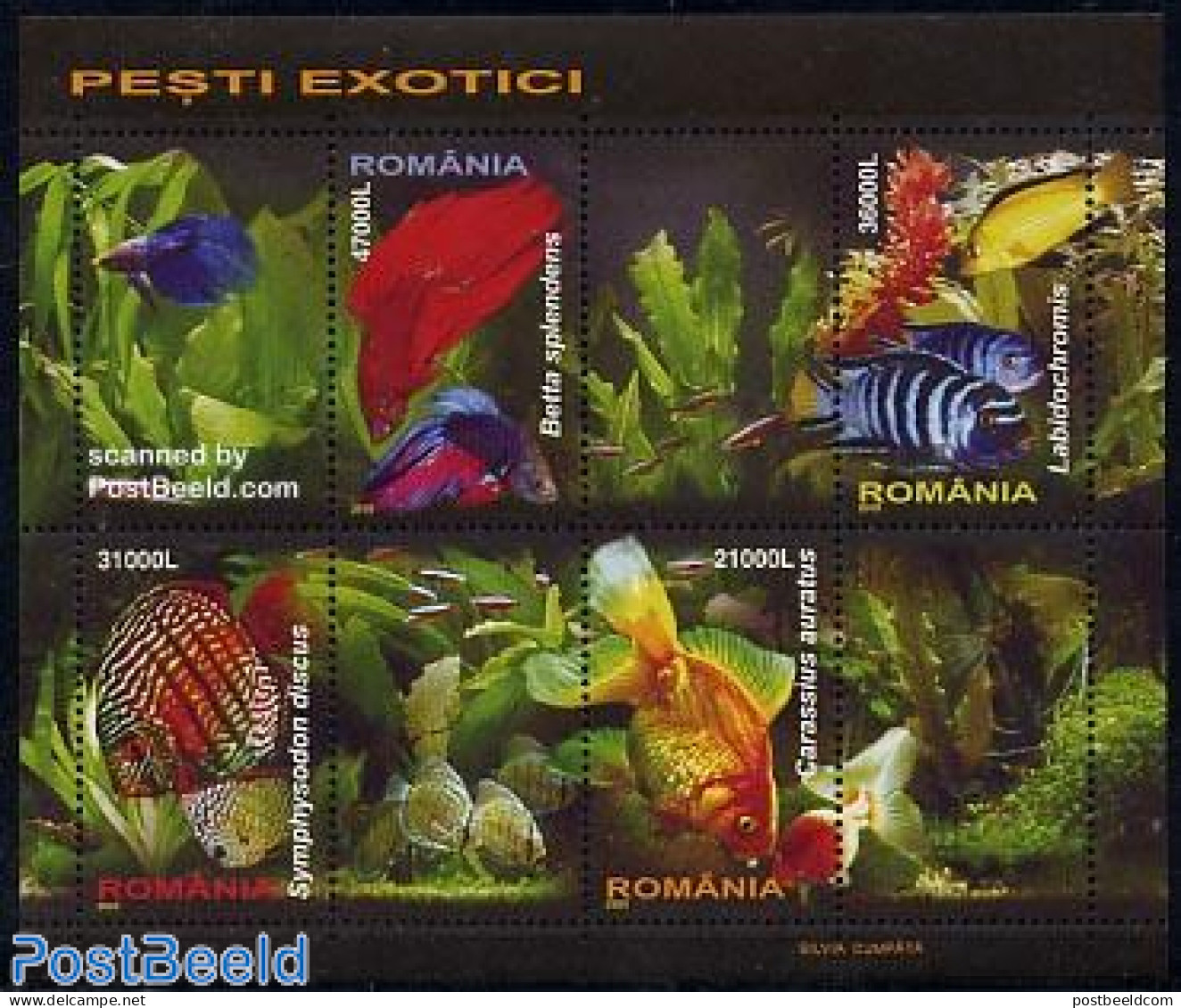 Romania 2005 Exotic Fish 4v M/s, Mint NH, Nature - Fish - Ungebraucht