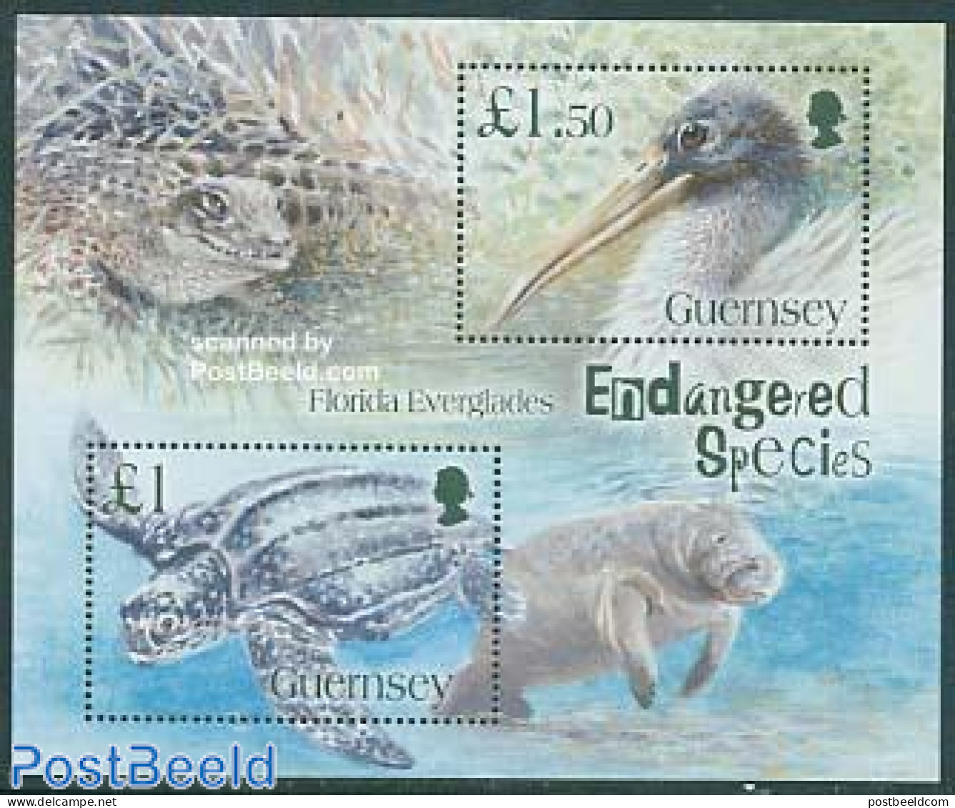 Guernsey 2006 Endangered Species S/s, Mint NH, Nature - Animals (others & Mixed) - Birds - Sea Mammals - Turtles - Guernesey
