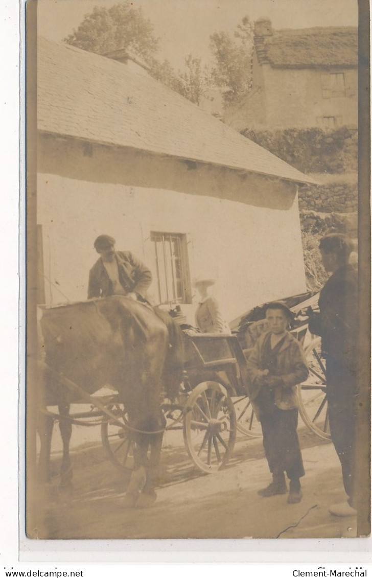 CARTE PHOTO A LOCALISER : Attelage, Pyrenees(?) - Tres Bon Etat - Fotos