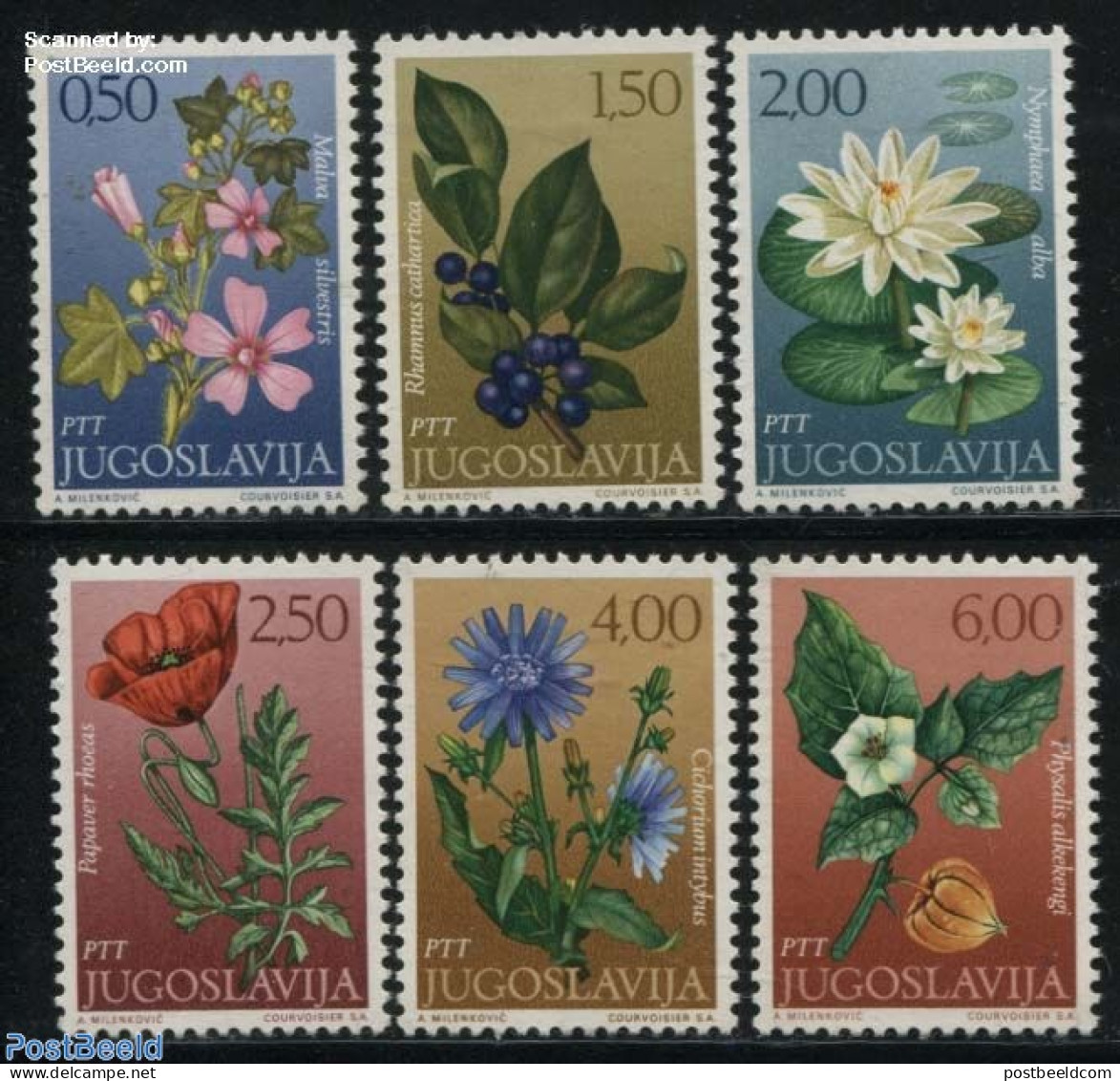 Yugoslavia 1971 Flowers 6v, Mint NH, Nature - Flowers & Plants - Ongebruikt