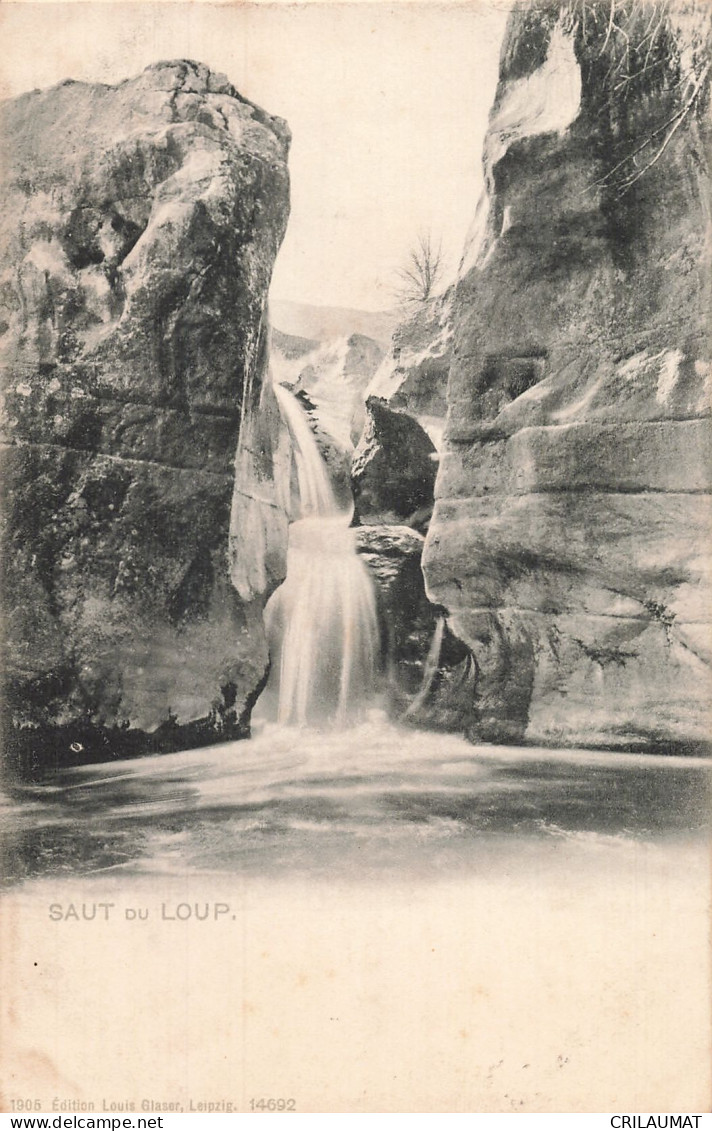 06-SAUT DU LOUP-N°T5319-F/0049 - Sonstige & Ohne Zuordnung