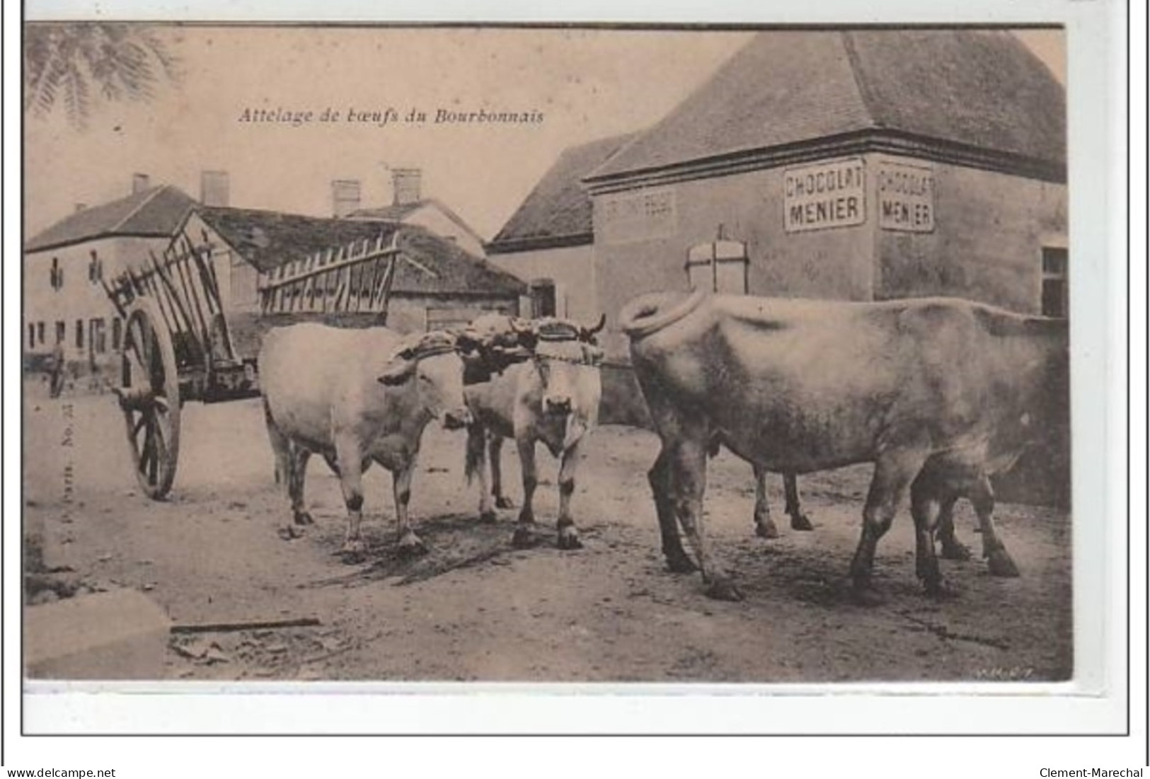 Attelage De Boeufs Du BOURBONNAIS - Très Bon état - Autres & Non Classés