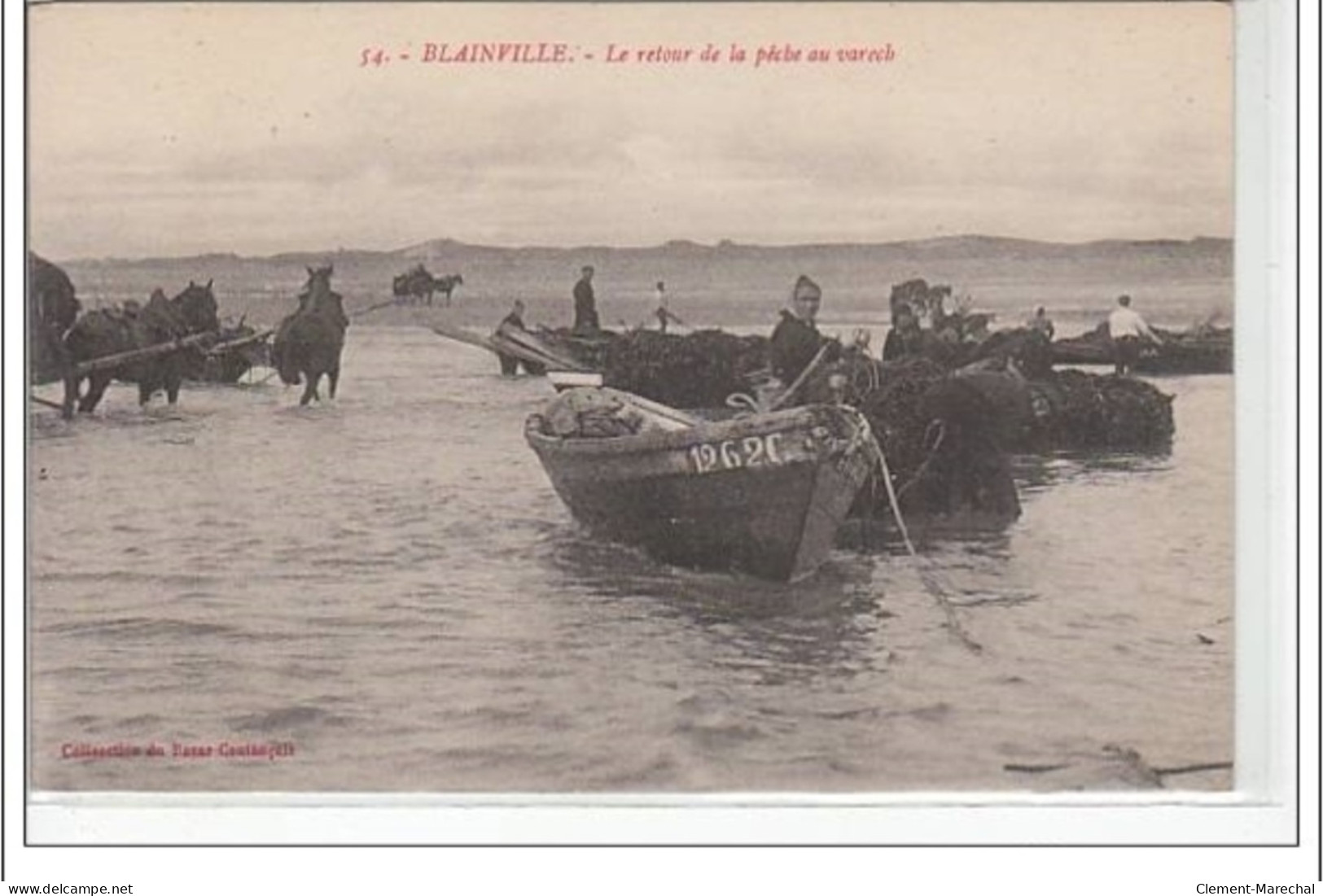 BLAINVILLE - Le Retour De La Pêche Au Varech - Très Bon état - Blainville Sur Mer