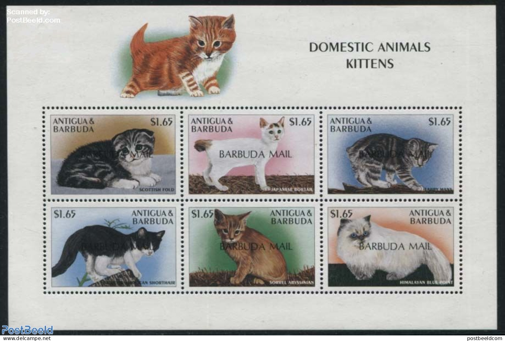 Barbuda 2000 Cats 6v M/s, Mint NH, Nature - Cats - Barbuda (...-1981)