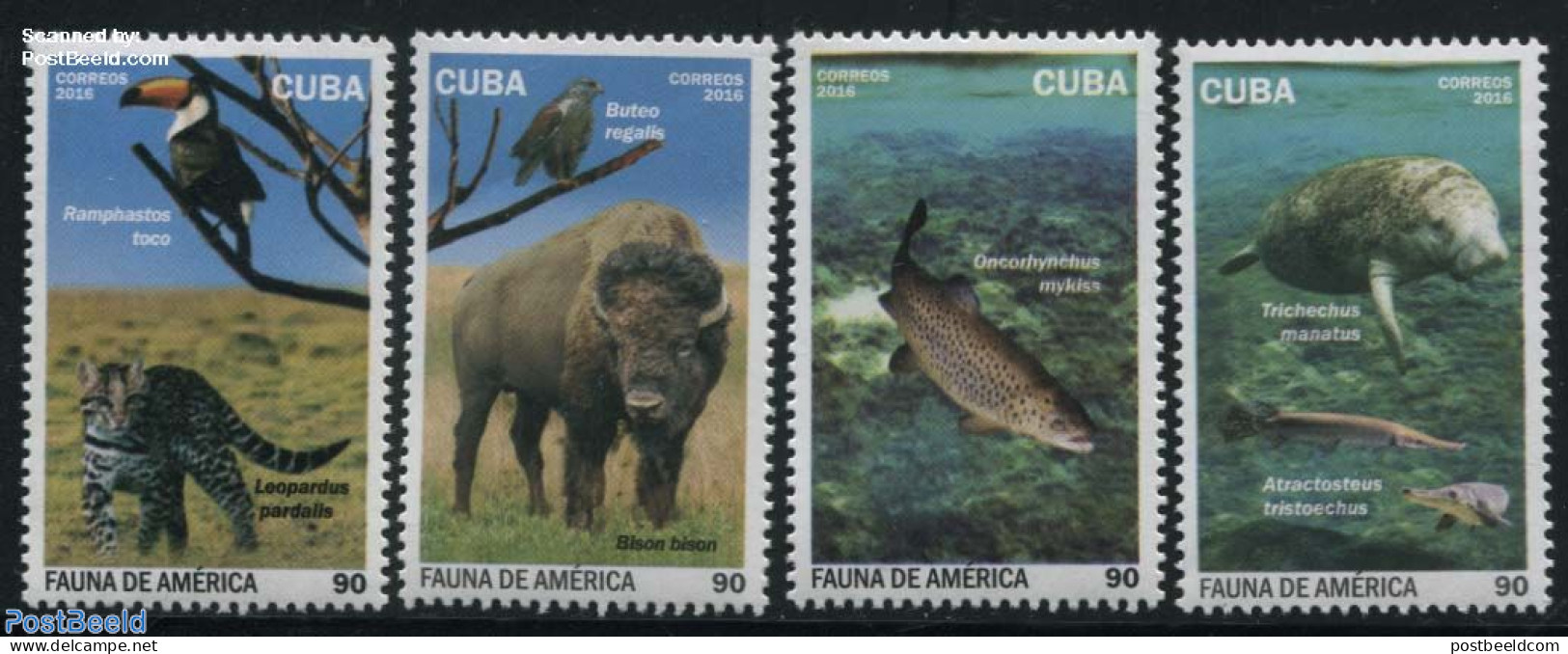 Cuba 2016 American Fauna 4v, Mint NH, Nature - Animals (others & Mixed) - Birds - Cat Family - Fish - Sea Mammals - Unused Stamps