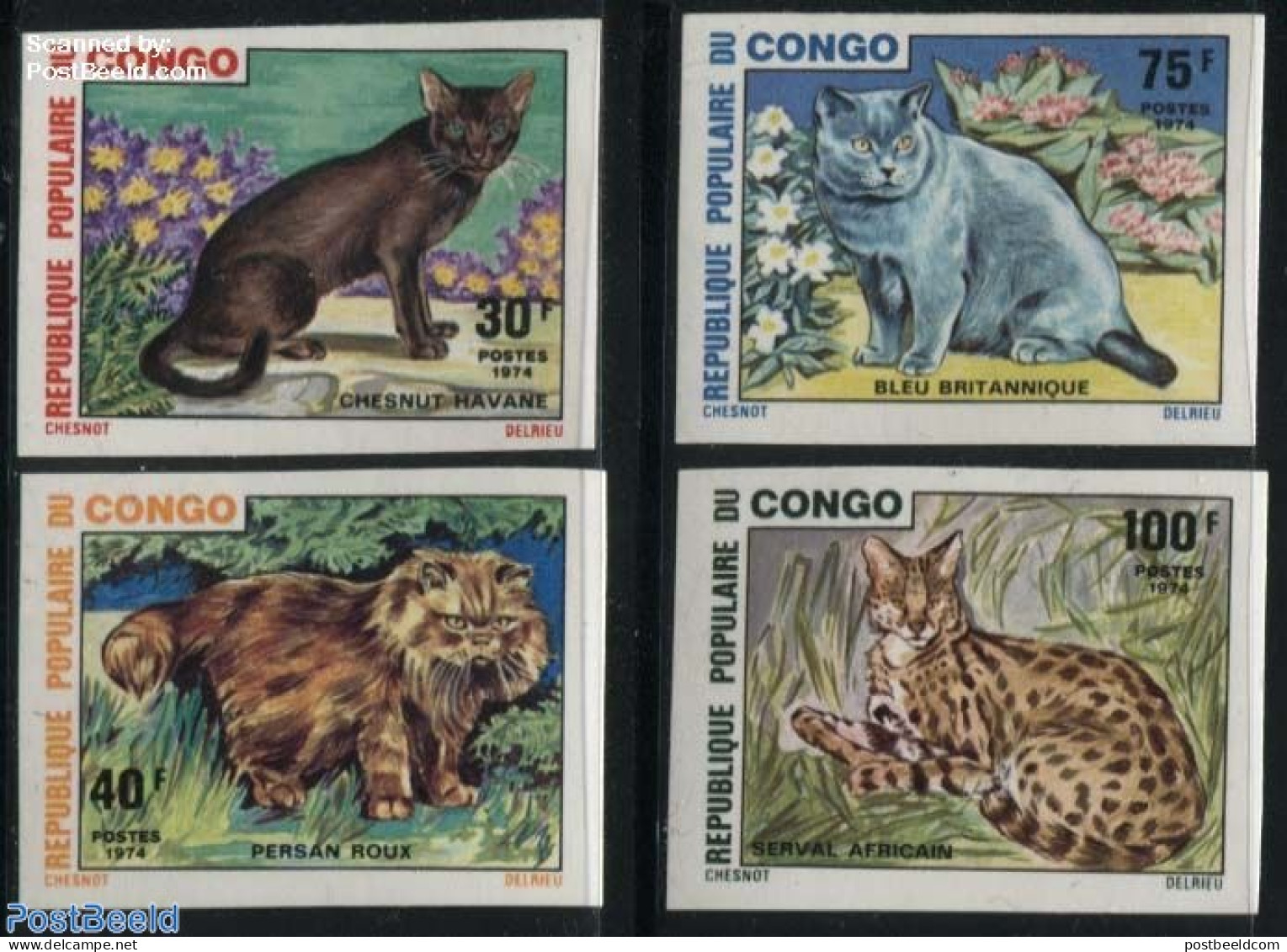 Congo Republic 1974 Cats 4v, Imperforated, Mint NH, Nature - Autres & Non Classés