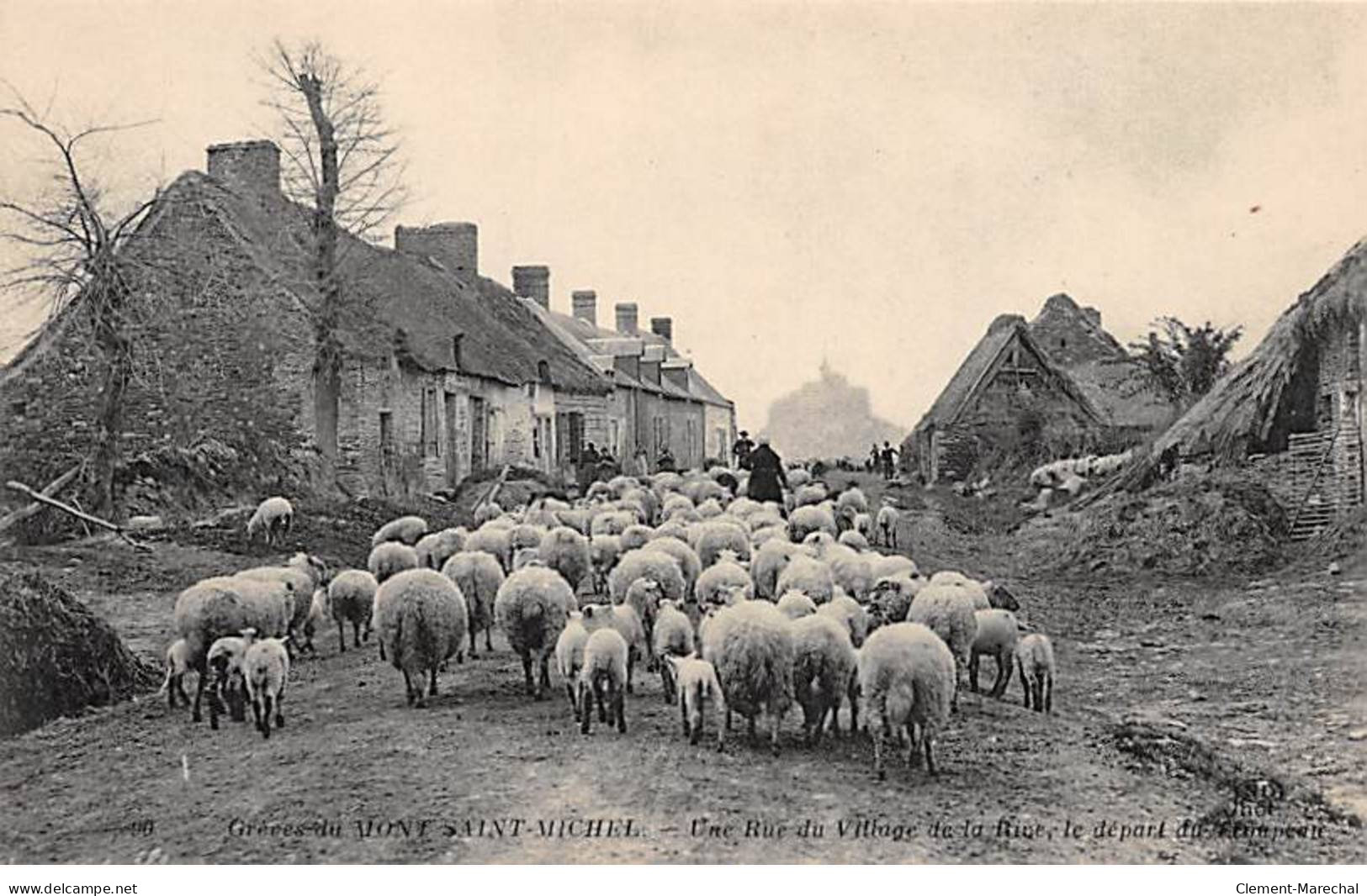 Grèves Du MONT SAINT MICHEL - Une Rue Du Village De La Rive - Le Départ Du Troupeau - Très Bon état - Le Mont Saint Michel