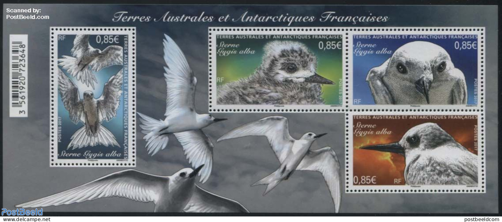 French Antarctic Territory 2017 White Tern S/s, Mint NH, Nature - Birds - Neufs