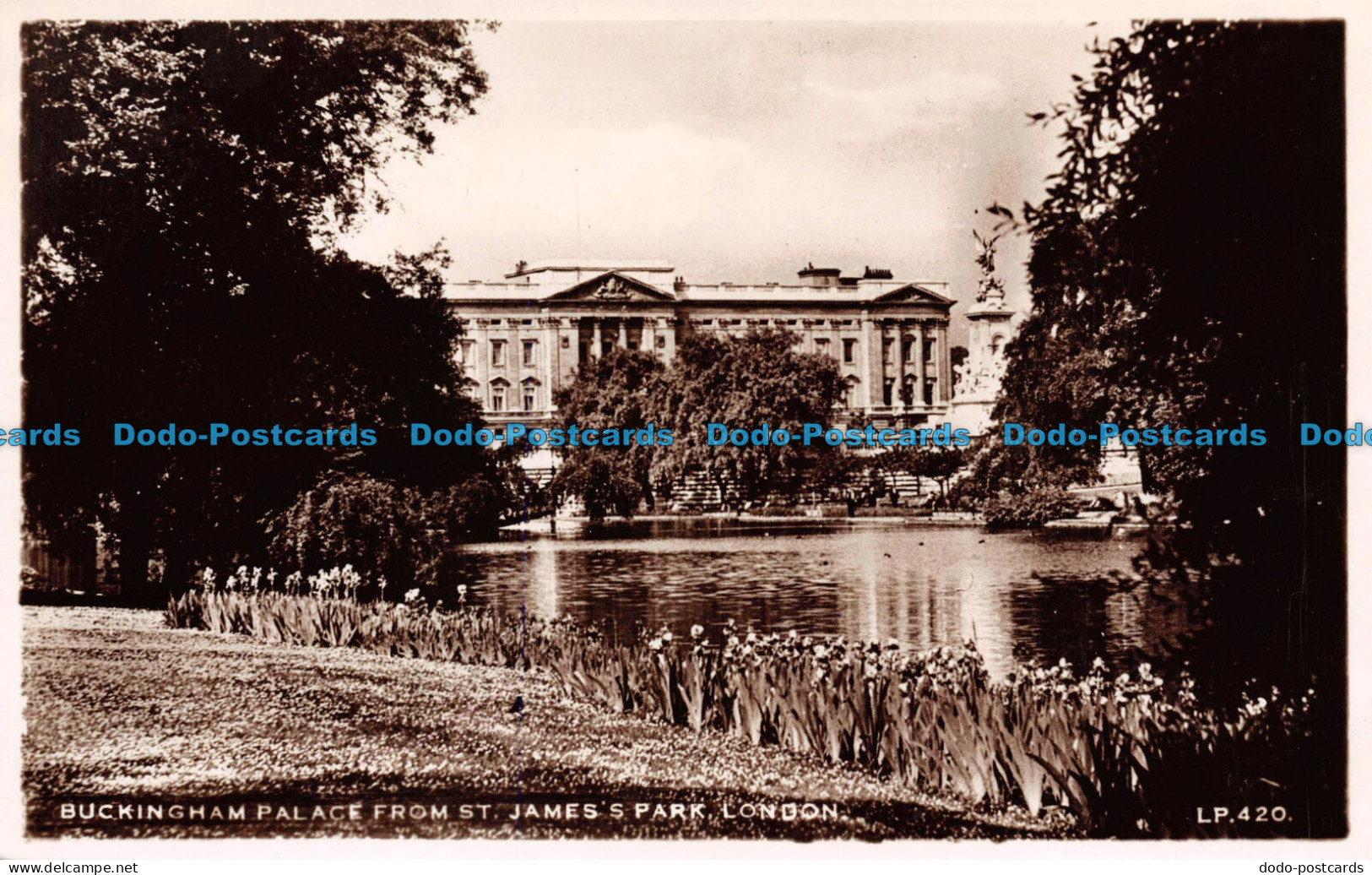 R113357 Buckingham Palace From St. James Park. London. Lansdowne. RP - Sonstige & Ohne Zuordnung