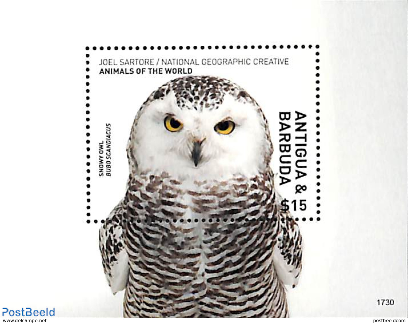 Antigua & Barbuda 2017 Snowy Owl S/s, Mint NH, Nature - Birds - Birds Of Prey - Owls - Antigua En Barbuda (1981-...)