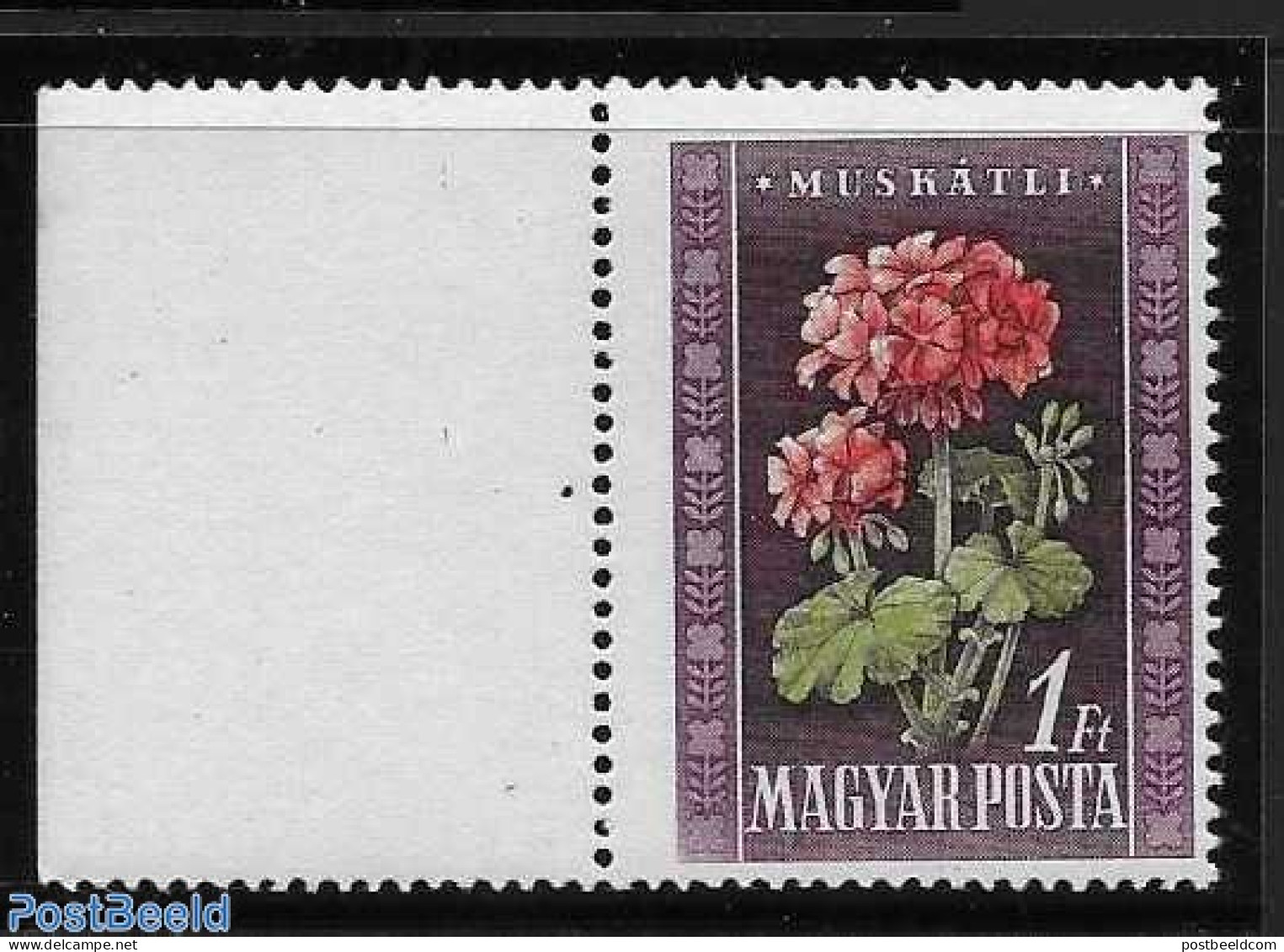 Hungary 1950 1 Ft. Without Designer Name, Mint NH, Nature - Flowers & Plants - Neufs