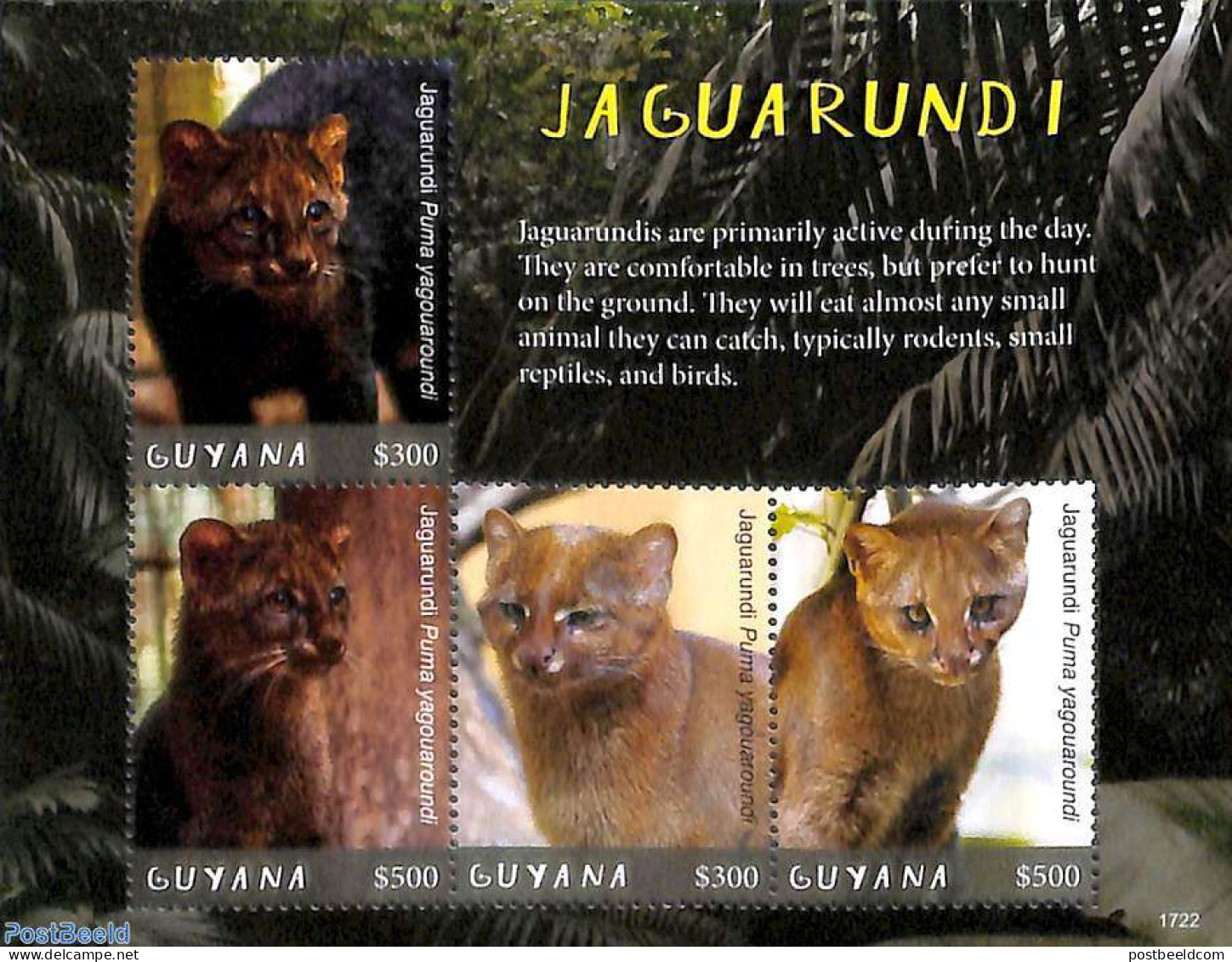 Guyana 2017 Jaguarundi 4v M/s, Mint NH, Nature - Animals (others & Mixed) - Cat Family - Cats - Wild Mammals - Guyane (1966-...)