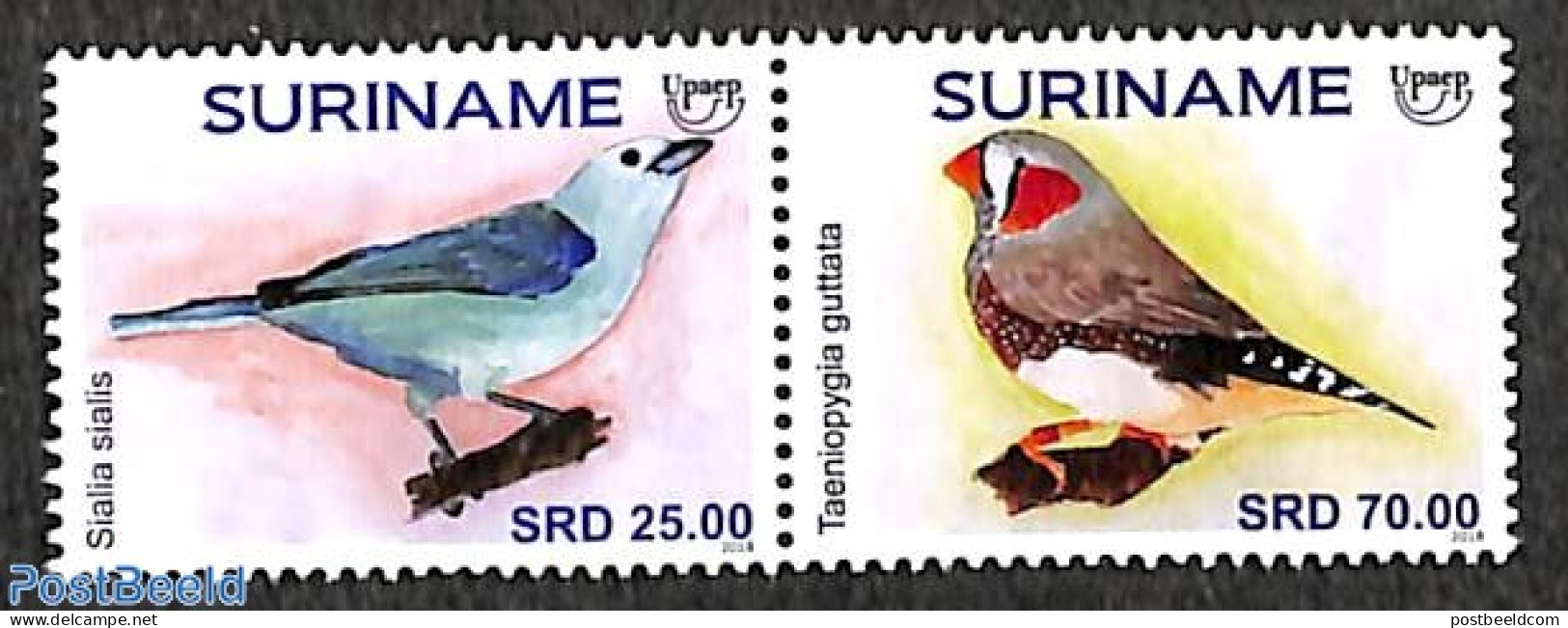 Suriname, Republic 2018 UPAEP, Birds 2v [:], Mint NH, Nature - Birds - U.P.A.E. - Suriname