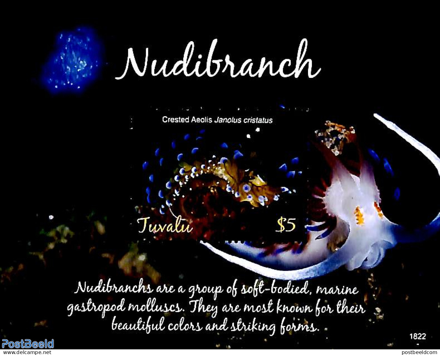 Tuvalu 2018 Nudibranch S/s, Mint NH, Nature - Shells & Crustaceans - Marine Life