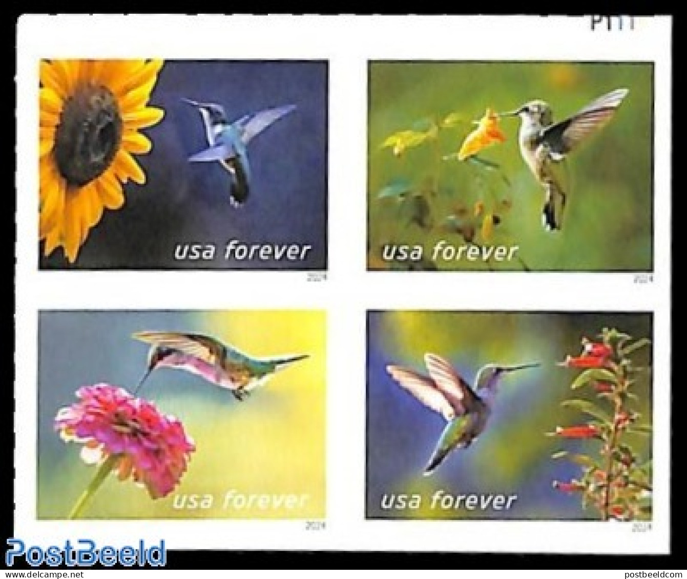 United States Of America 2024 Garden Delights 4v S-a, Mint NH, Nature - Birds - Flowers & Plants - Hummingbirds - Unused Stamps