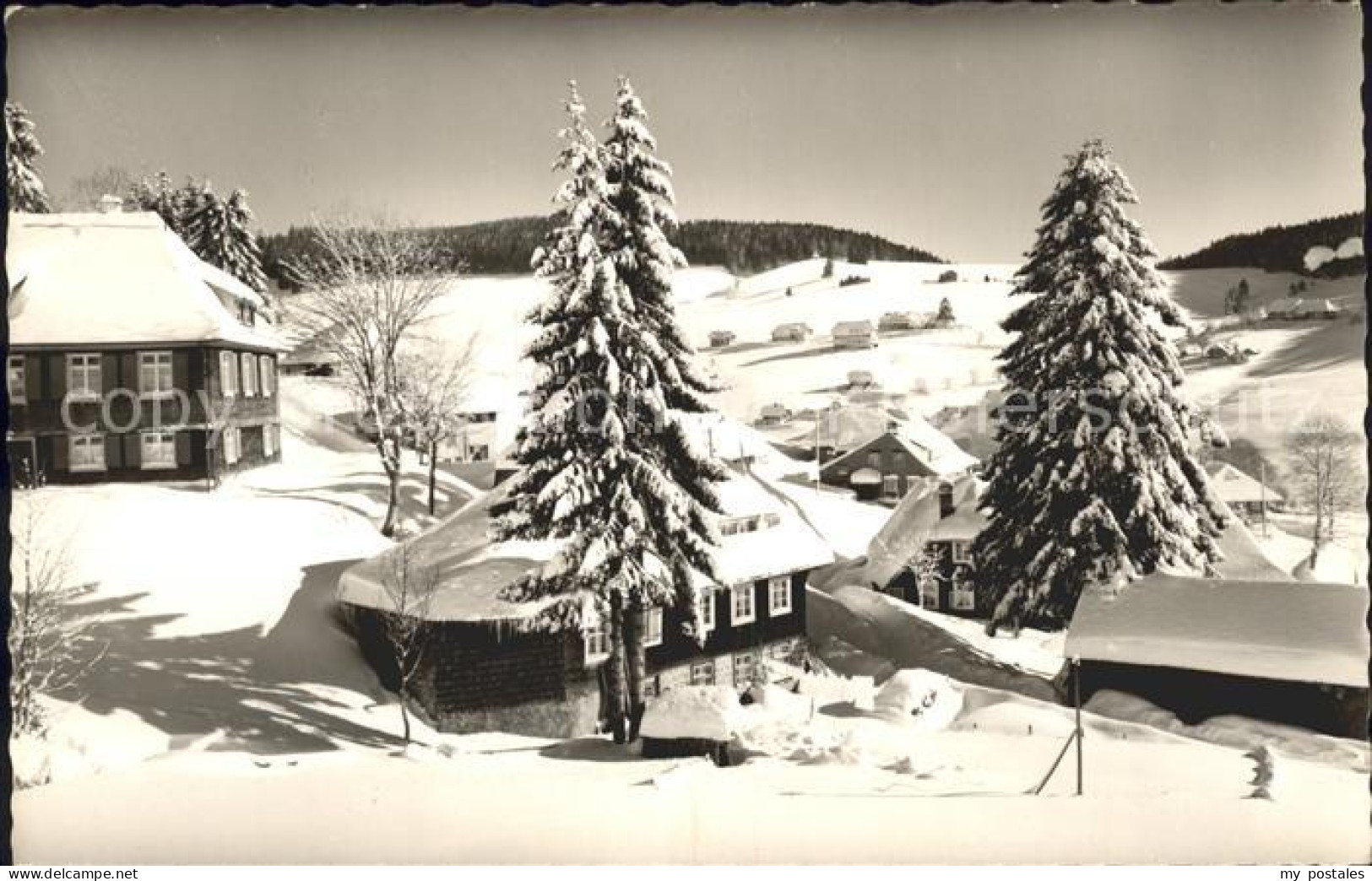 72177199 Todtnauberg Winteridyll Todtnau - Todtnau