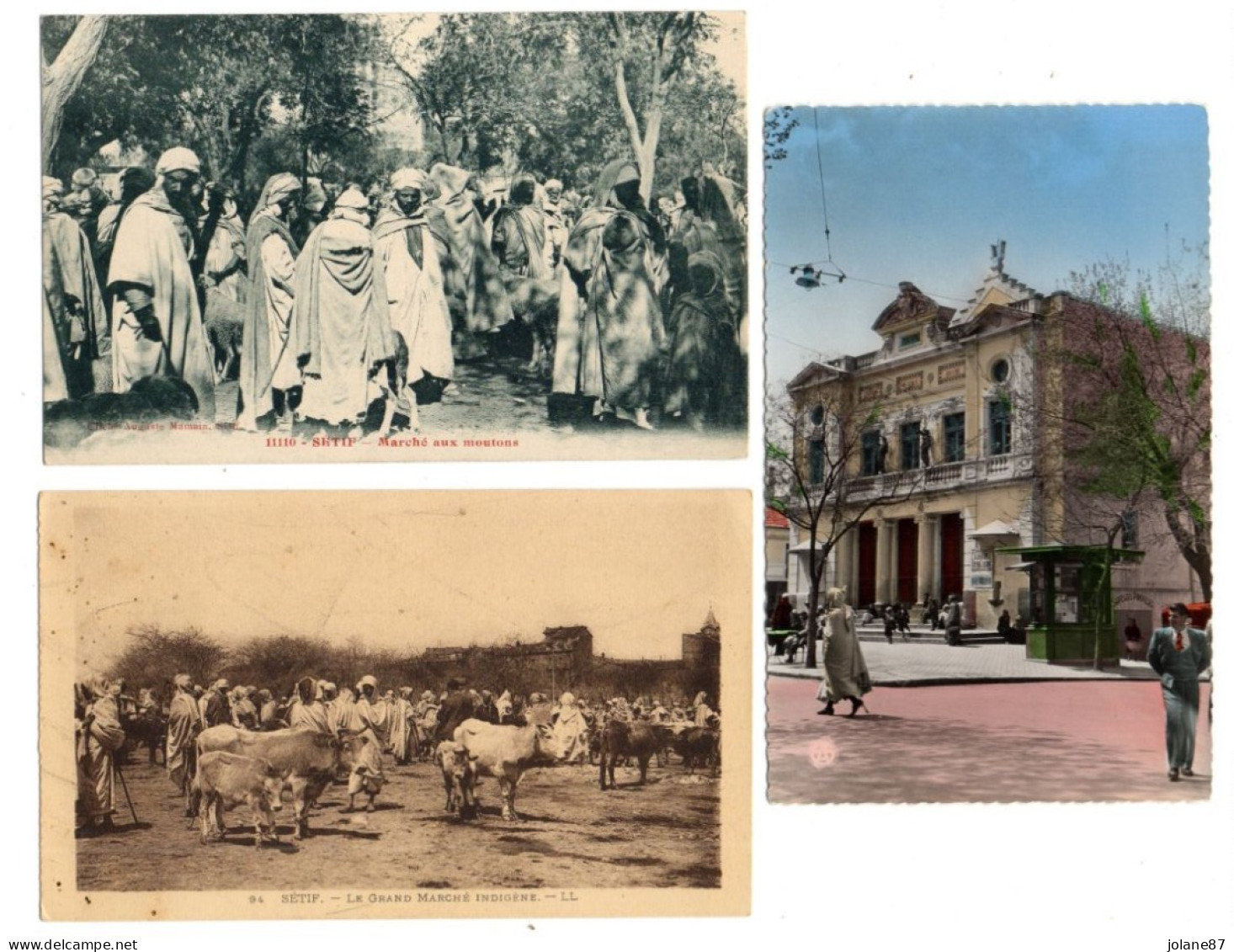 7 CPA   SETIF     -    VUES DIVERSES - Setif