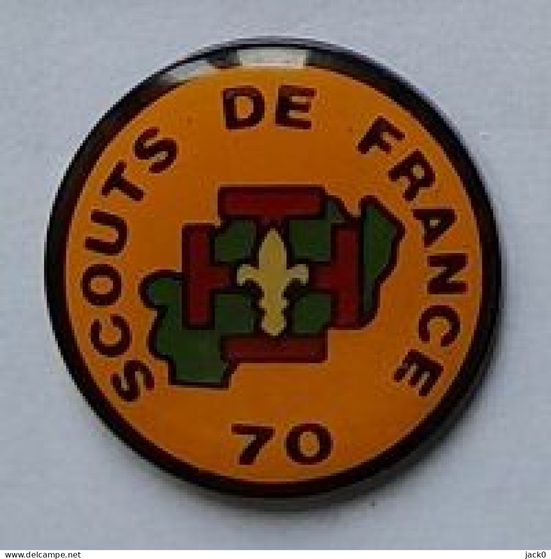 Pin' S  Département  70, SCOUTS  DE  FRANCE  70 - Associations