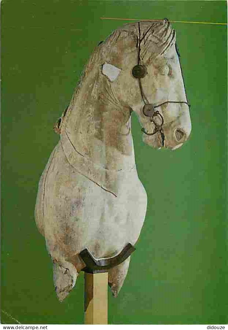Art - Antiquité - Colossal Marble Horse - Grèce - The British Museum - Chevaux - Etat Pli Visible - CPM - Voir Scans Rec - Antike