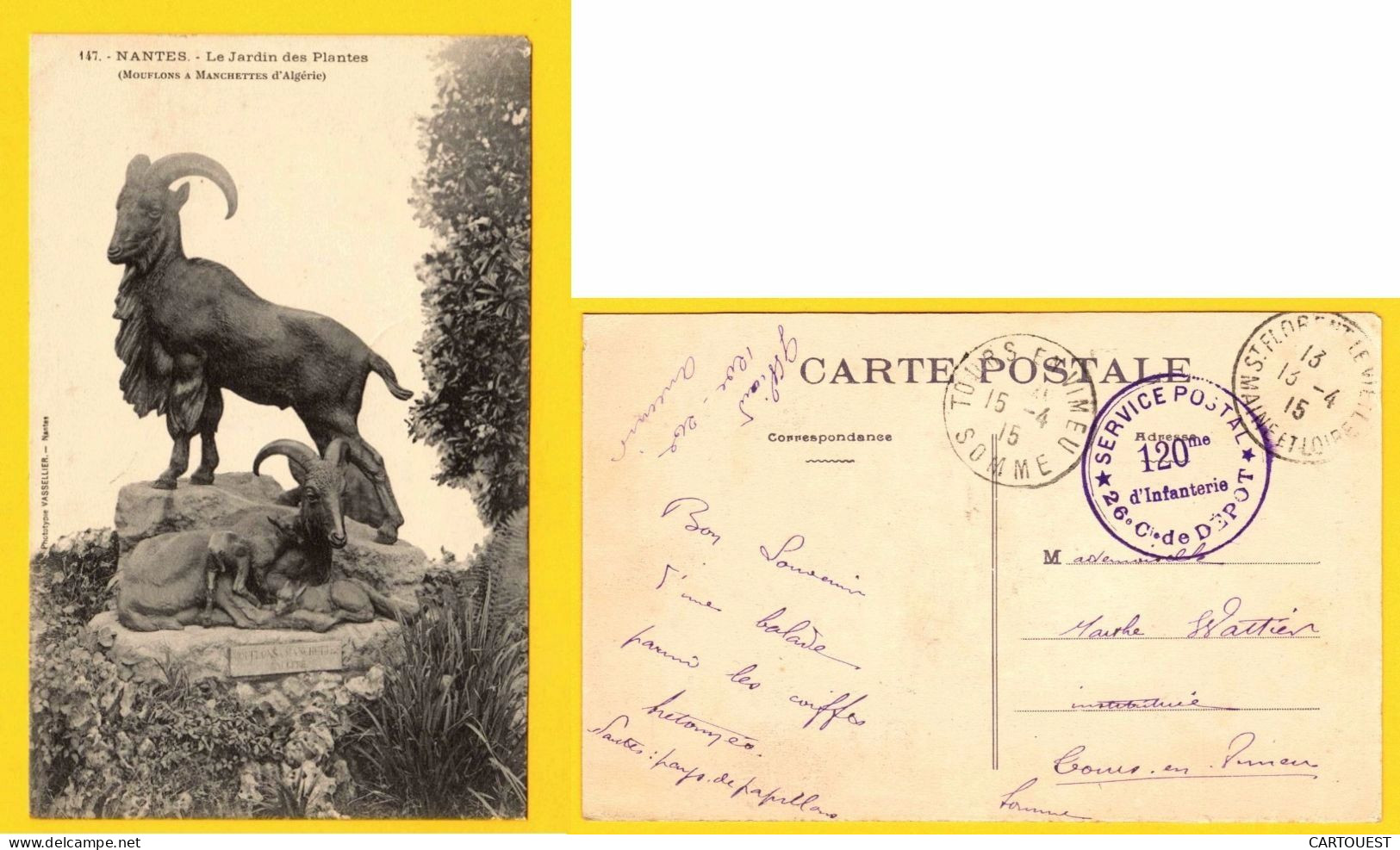 CPA NANTES - JARDIN DES PLANTES - LE MOUFLON - Tampon Cachet 120me D Infanterie 26e C.Dépôt MILITARIA - Nantes