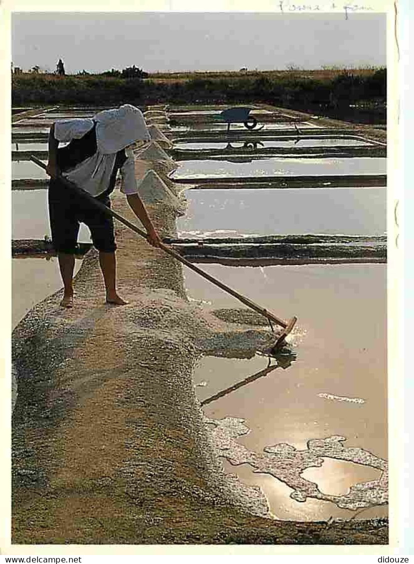 Metiers - Marais Salants - Saliculture - Saliculteurs - Sauniers - Paludiers - Ile De Ré - La Belle Saunière - Flamme Po - Andere & Zonder Classificatie