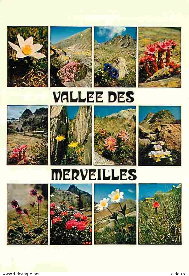 06 - Alpes Maritimes - Vallée Des Merveilles - Multivues - CPM - Voir Scans Recto-Verso - Autres & Non Classés