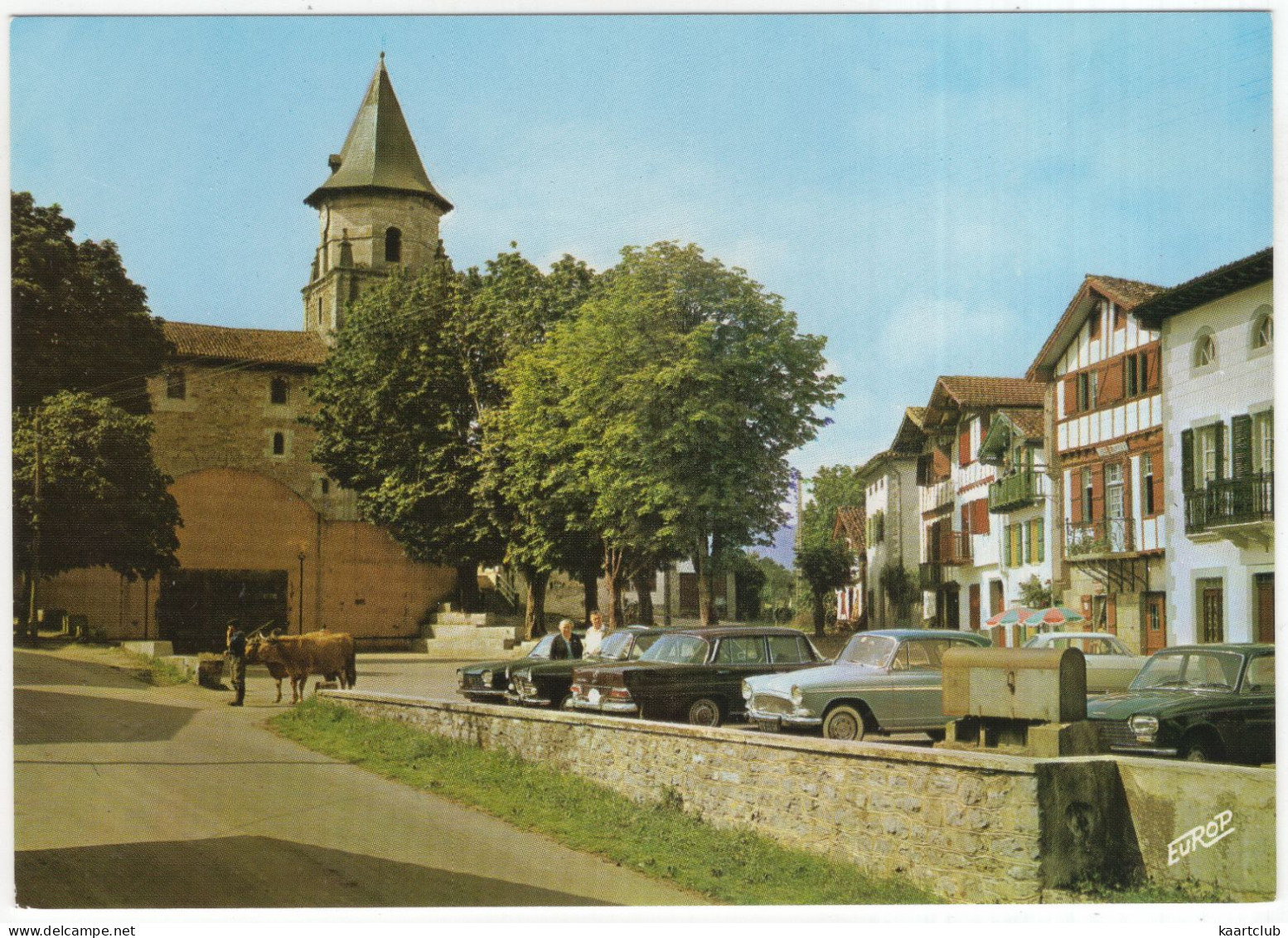 Ainhoa: PEUGEOT 204, 404, SIMCA ARONDE, MERCEDES W110, BOEUFS GRAS En Pays Basque - (64, France) - Voitures De Tourisme