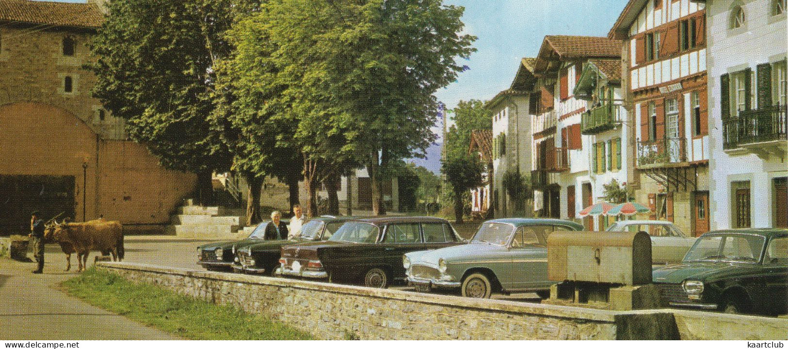 Ainhoa: PEUGEOT 204, 404, SIMCA ARONDE, MERCEDES W110, BOEUFS GRAS En Pays Basque - (64, France) - Voitures De Tourisme