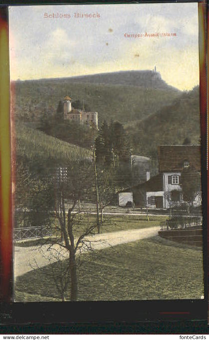 10578430 Arlesheim Schloss Birseck  X 1907 Arlesheim - Sonstige & Ohne Zuordnung