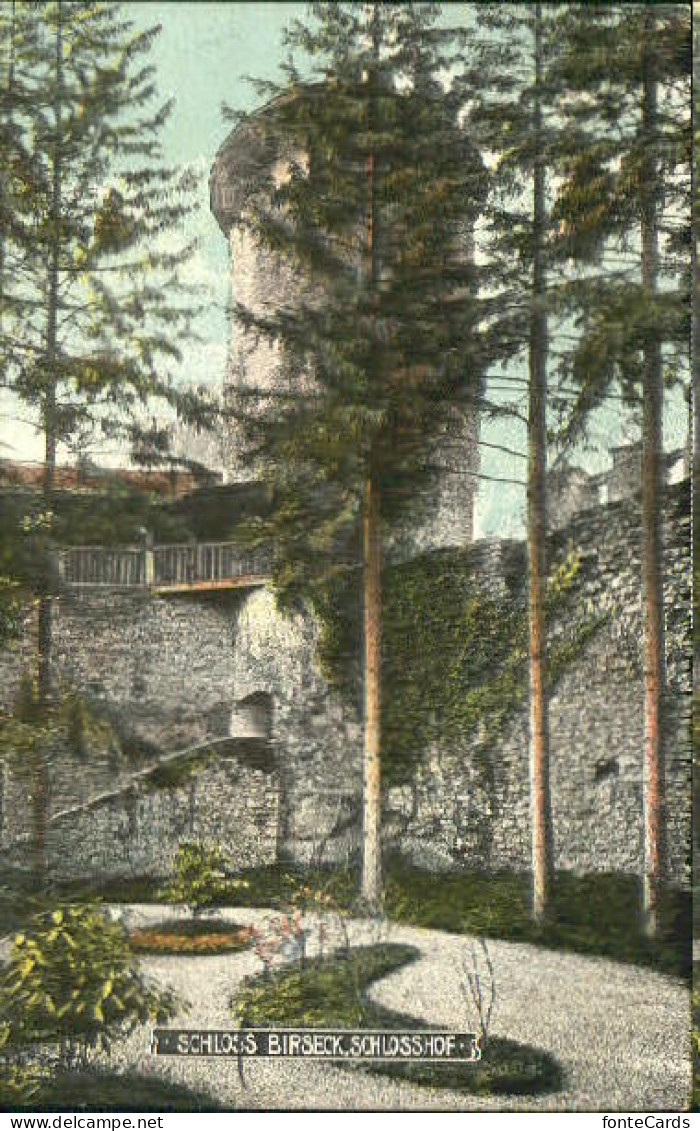 10578144 Arlesheim Schloss Birseck  X 1912 Arlesheim - Sonstige & Ohne Zuordnung