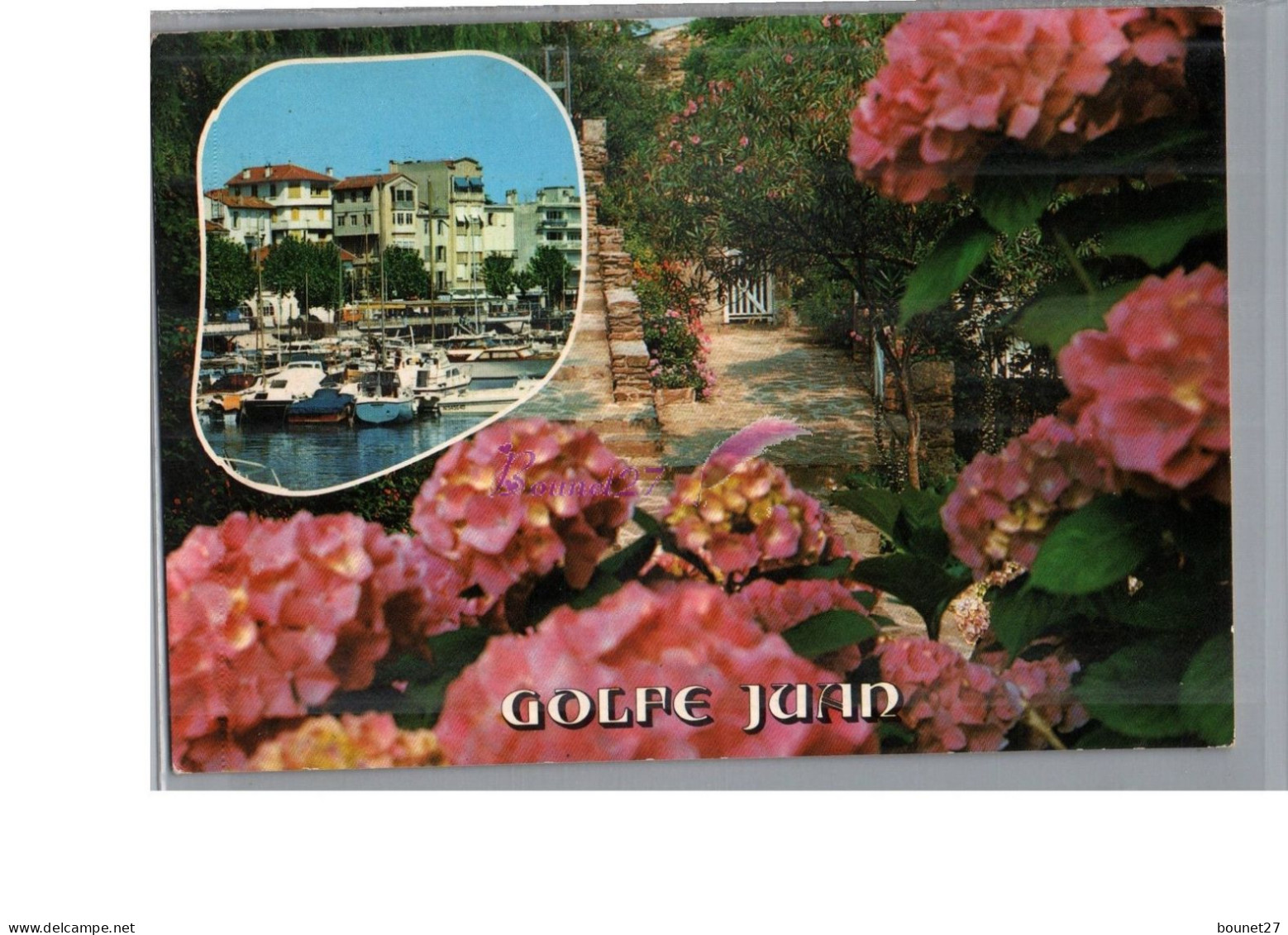 GOLFE JUAN 06 - Vue Sur Le Port Bateau Et Allée Fleur Hortensia Rose - Other & Unclassified