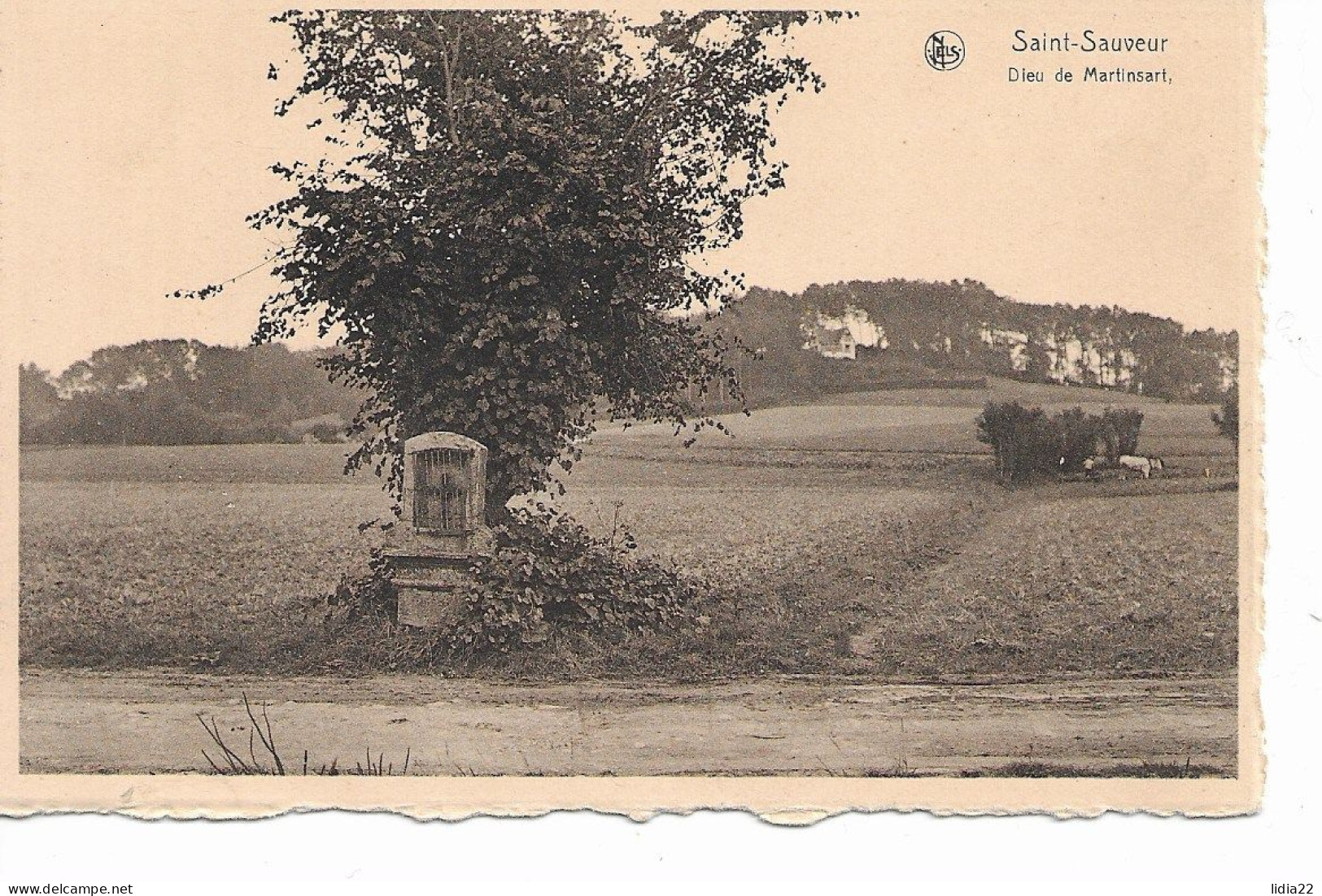 Saint Sauveur Dieu De Martinsart(Frasnes Es Anvaing) - Frasnes-lez-Anvaing