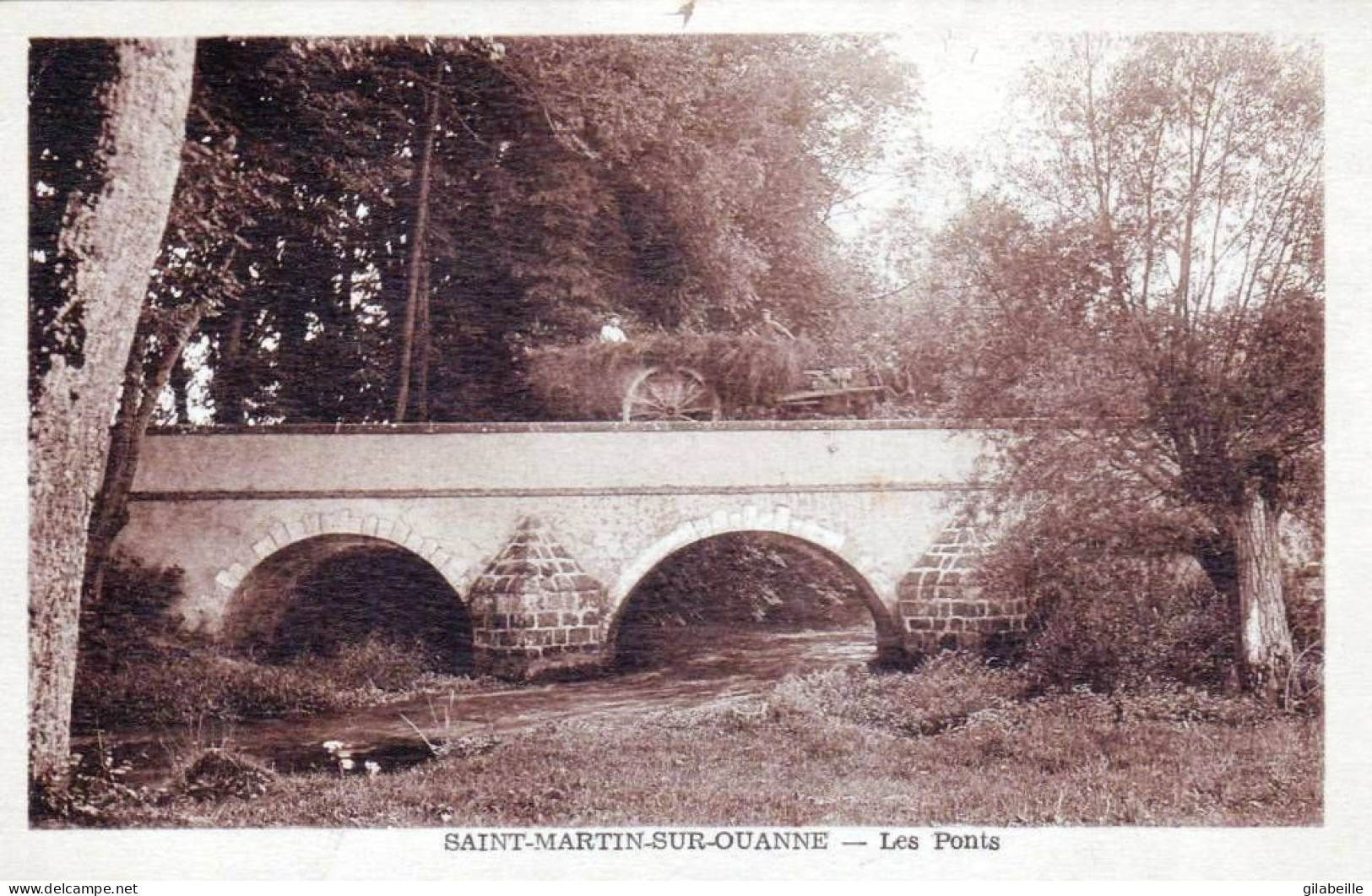 89 - Yonne -  SAINT MARTIN  Sur OUANNE - Les Ponts - Other & Unclassified