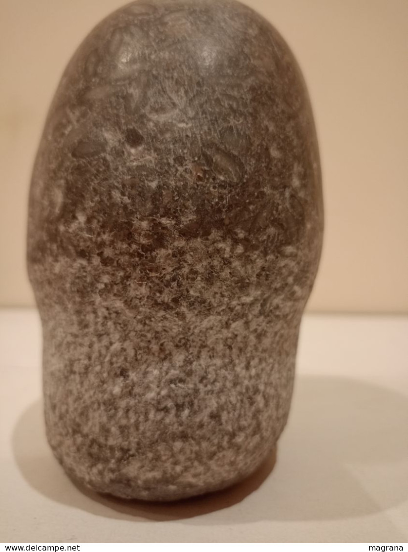 Escultura erótica de piedra caliza con nummulites fosiles representando un pene o glande.