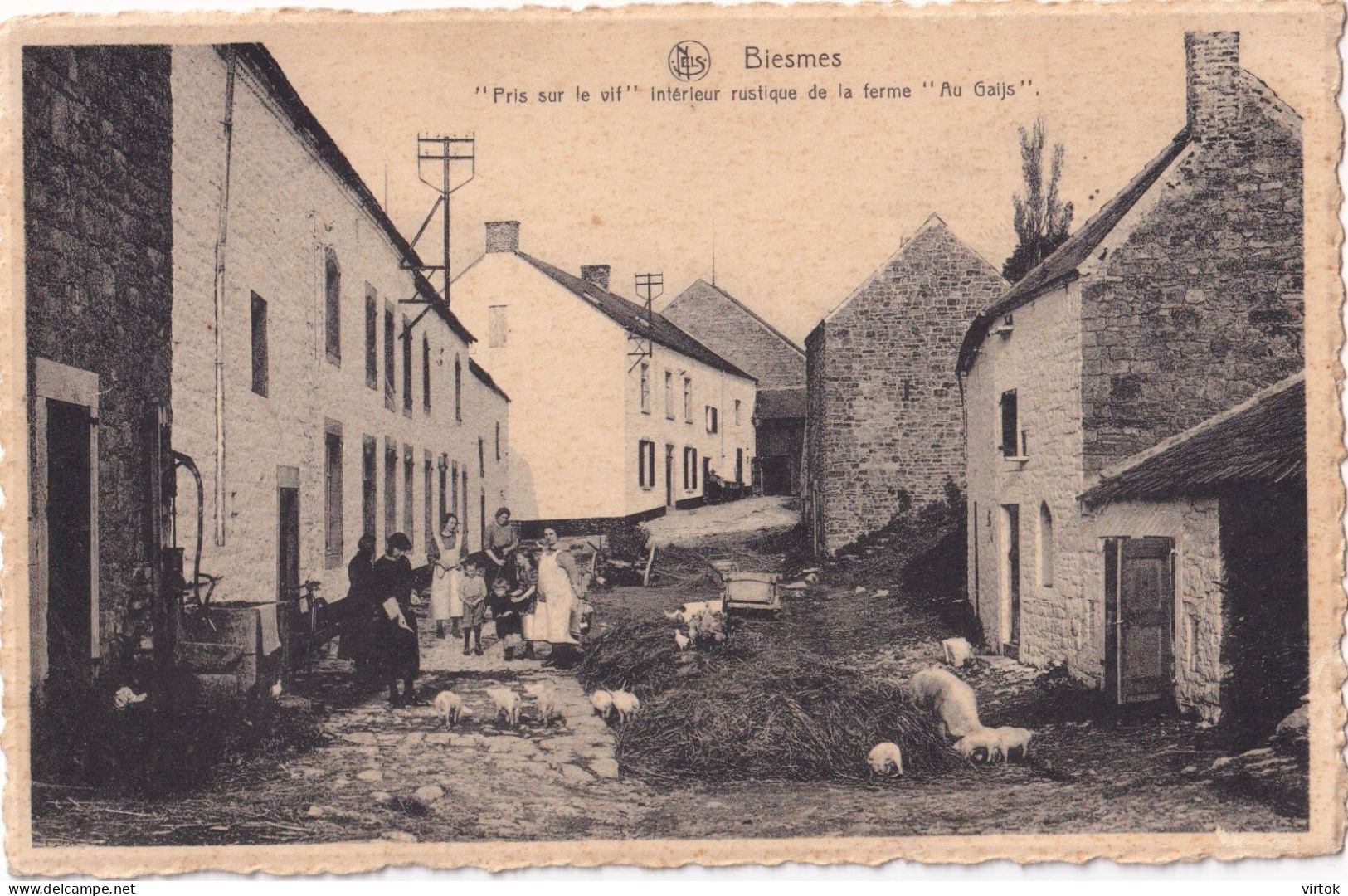 Biesme ( Biesmes )  :  Pris Sur Le Vif.................  (   : Edit L. Thibaut - Molquin ) - Mettet