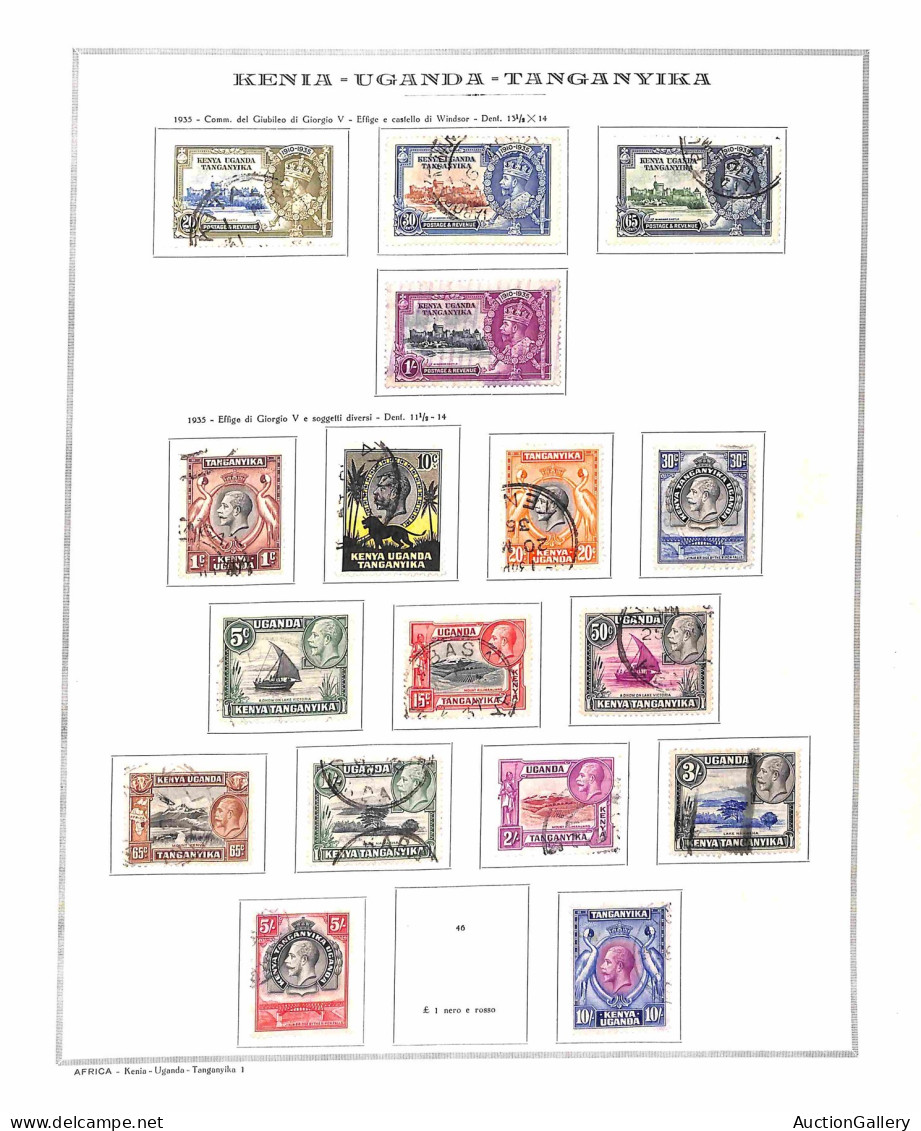 COLONIE INGLESI - Buon Inizio Di Collezione Dei Valori Usati Dei Diversi Paesi Del Commonwealth In Cinque Classificatori - Other & Unclassified